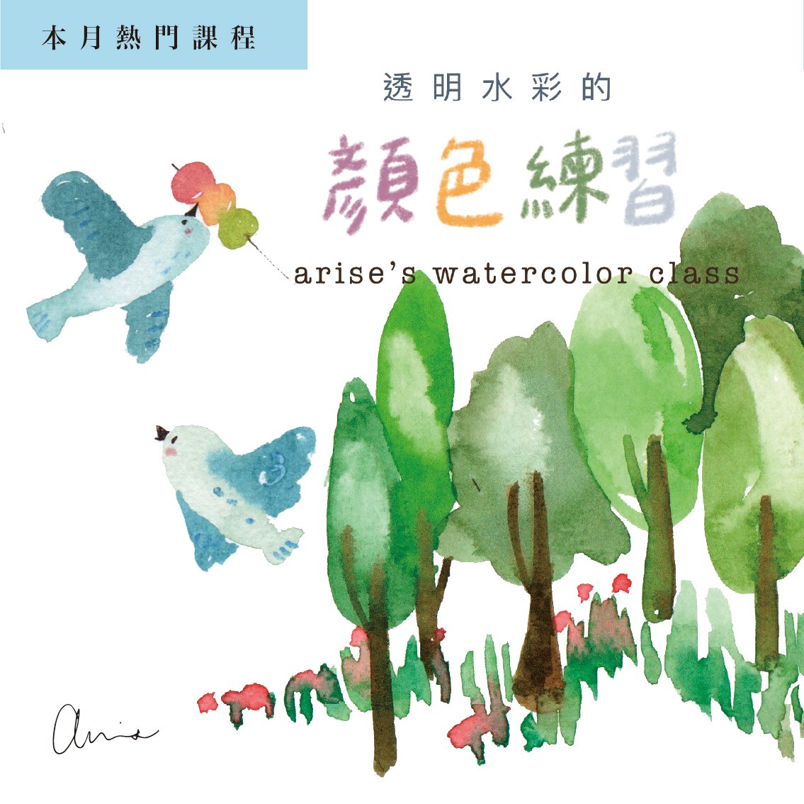 輕水彩：透明水彩的顏色練習