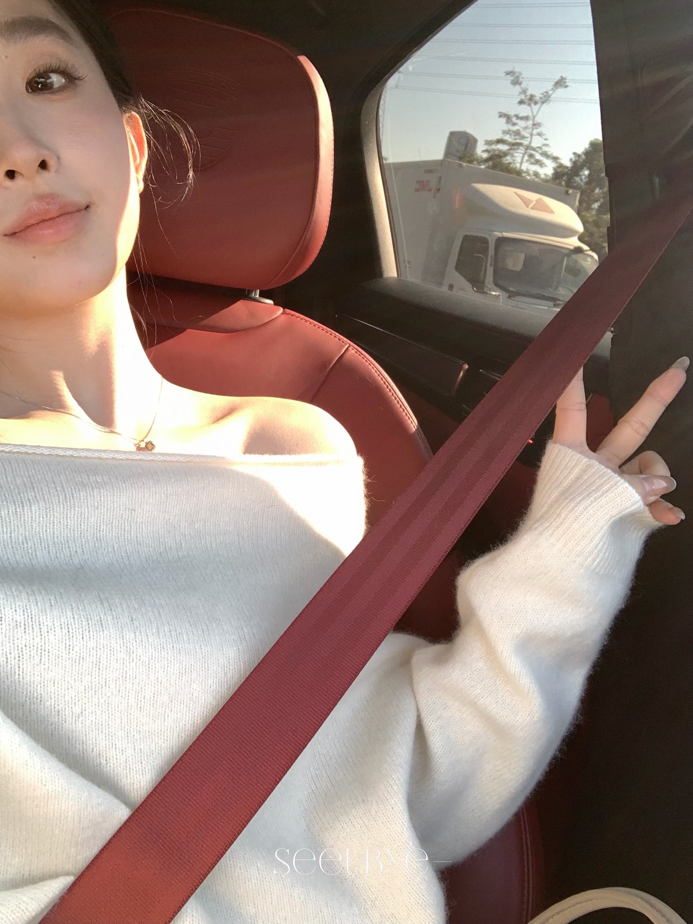 黑標｜新年全羊毛毛衣（勿曝曬機洗）