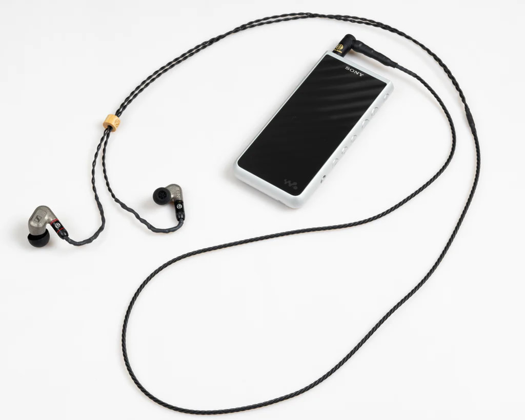 Brise Audio BSEP for IE600 Sennheiser IE600 專用入耳式耳機升級線 Brise Audio BSEP for IE600 Sennheiser IE600 專用入耳式耳機升級線