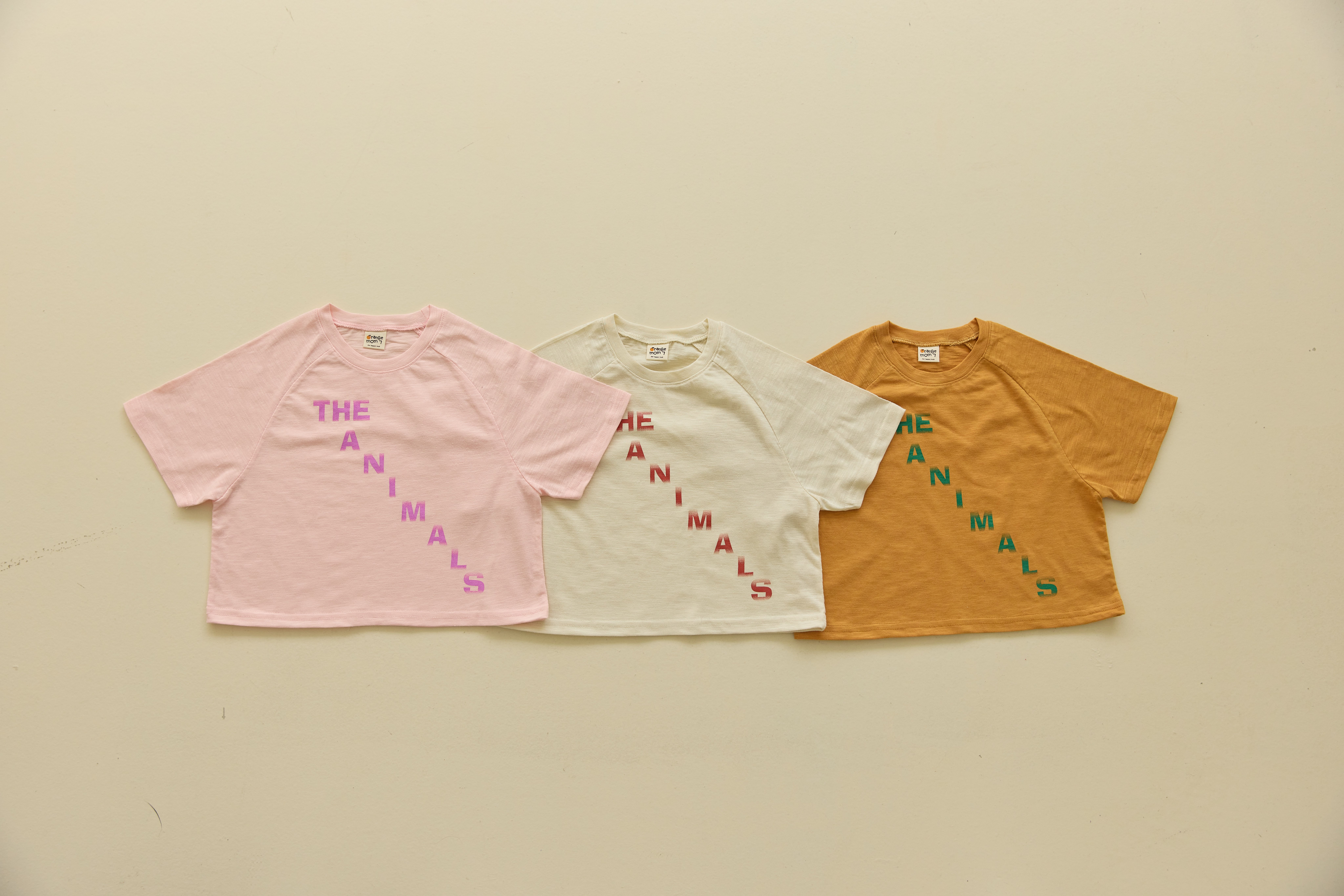 042313英文上衣(三色)