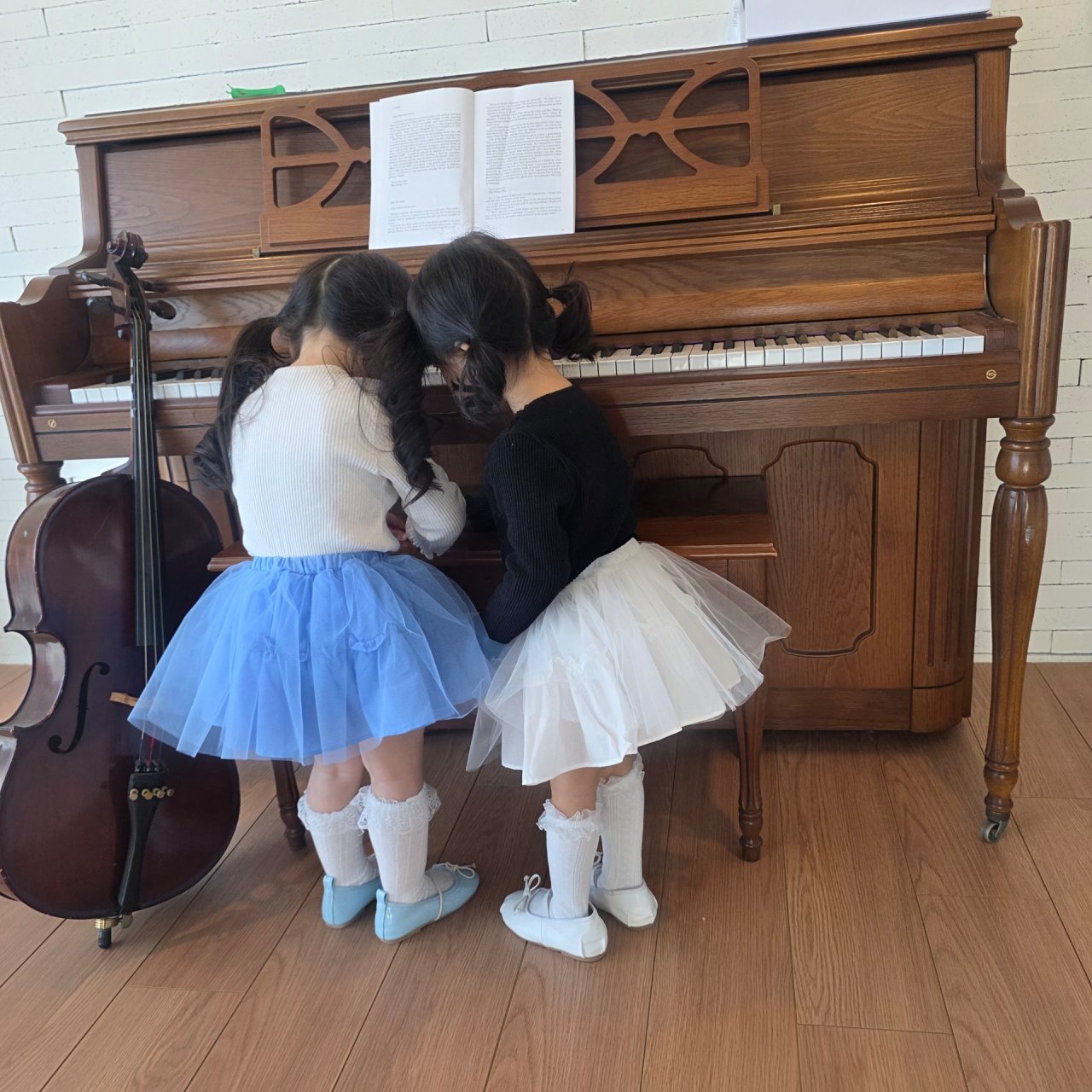 11226造型上衣(兩色)