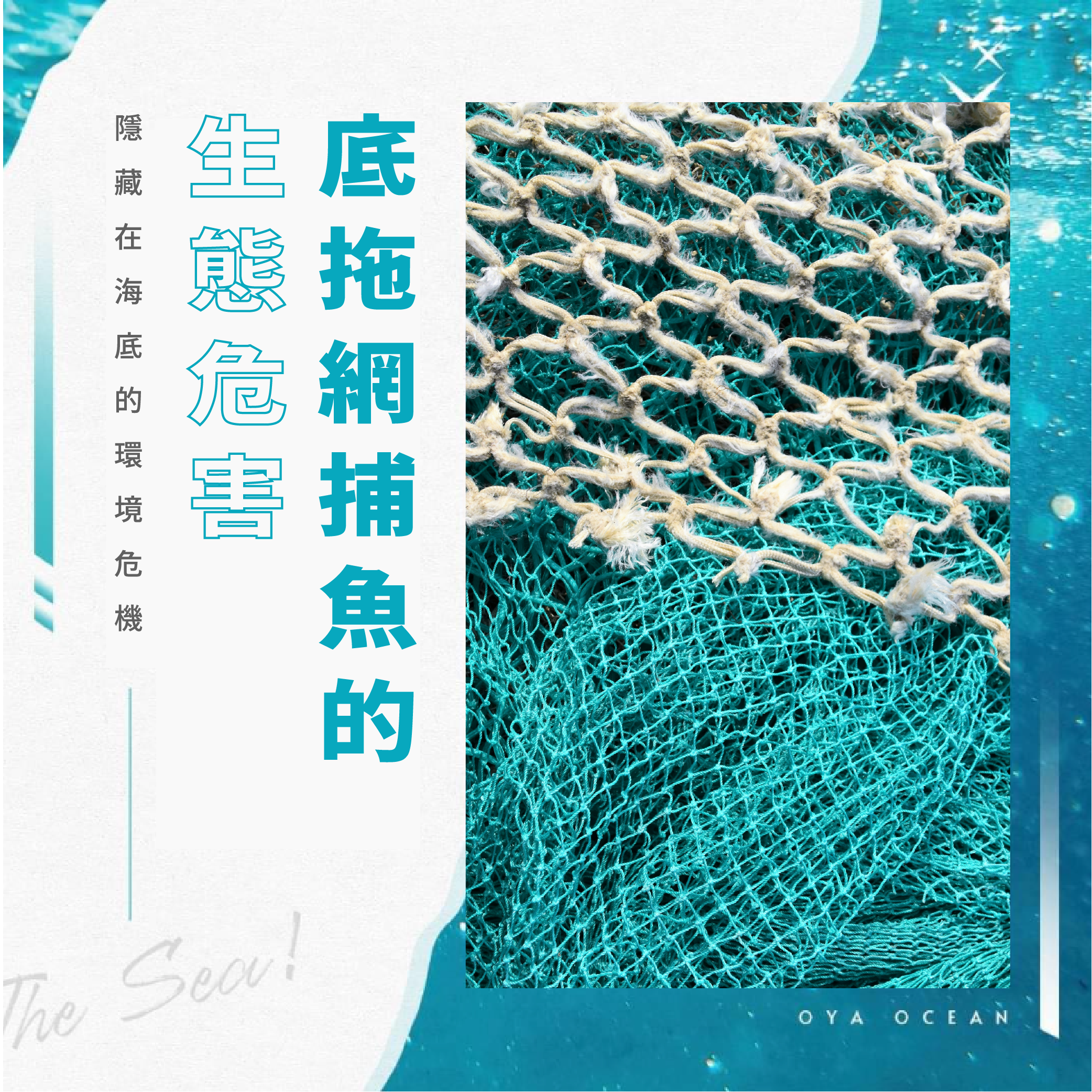 底拖網捕魚的生態危害｜海洋保護與永續漁業的挑戰
