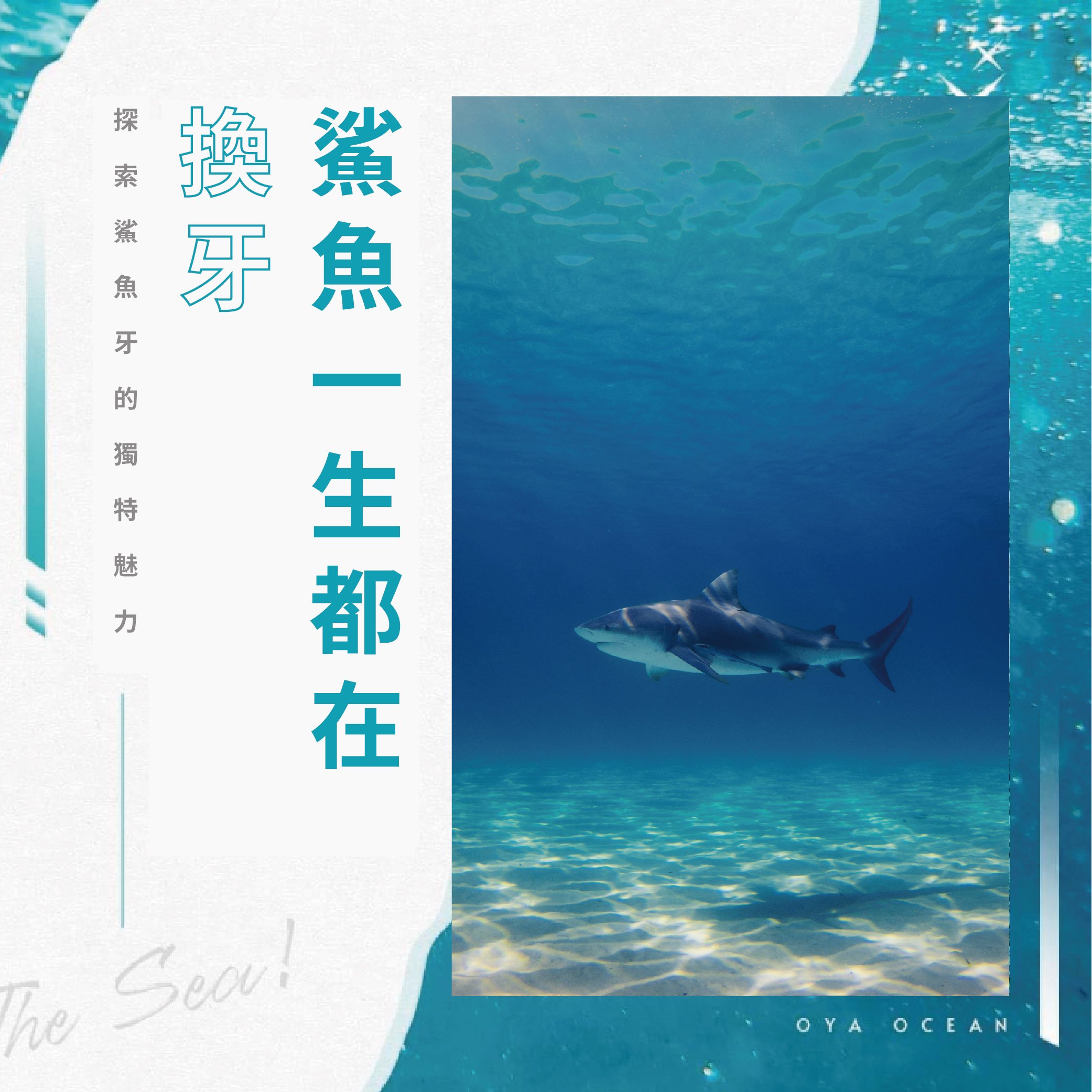 鯊魚一生都在掉牙，甚至能換超過兩萬顆牙?!