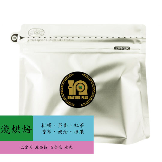 巴拿馬 波奎特 百合花 水洗