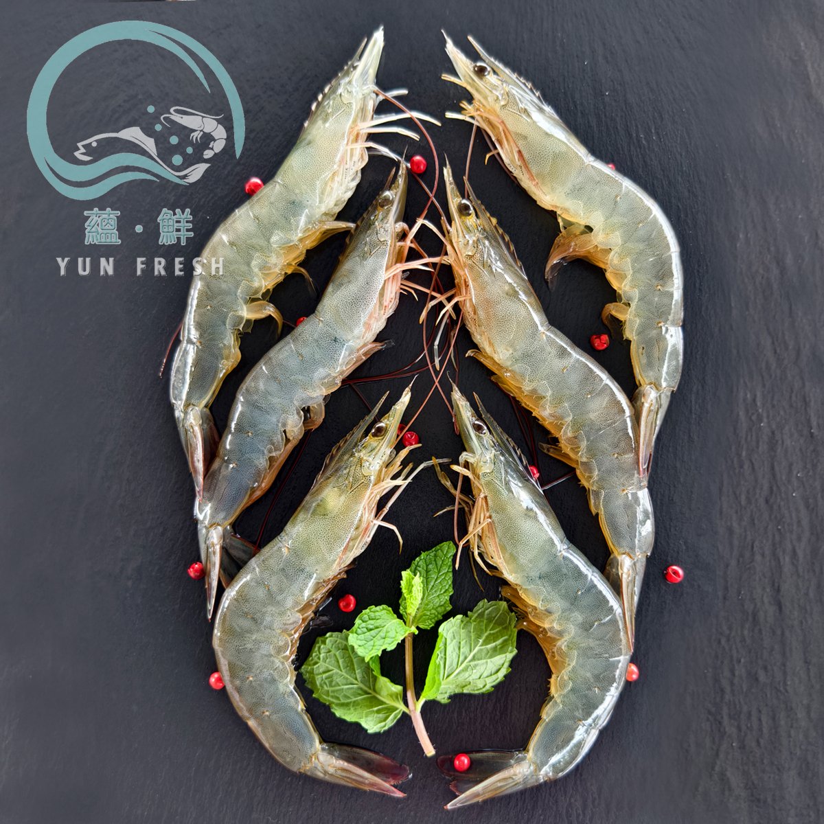 台灣產銷履歷活凍白蝦