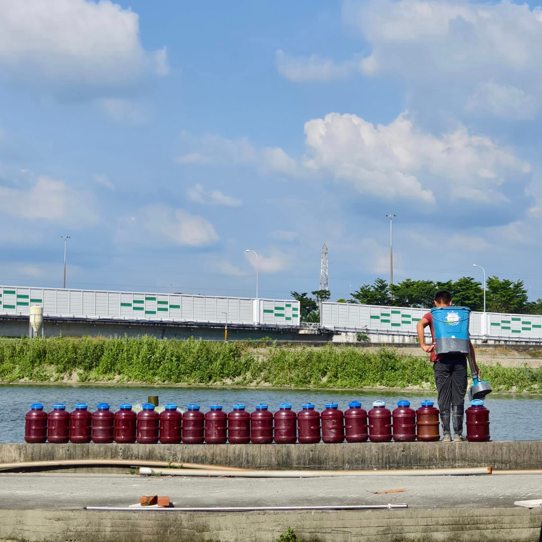 光合菌在水產養殖上的重要性