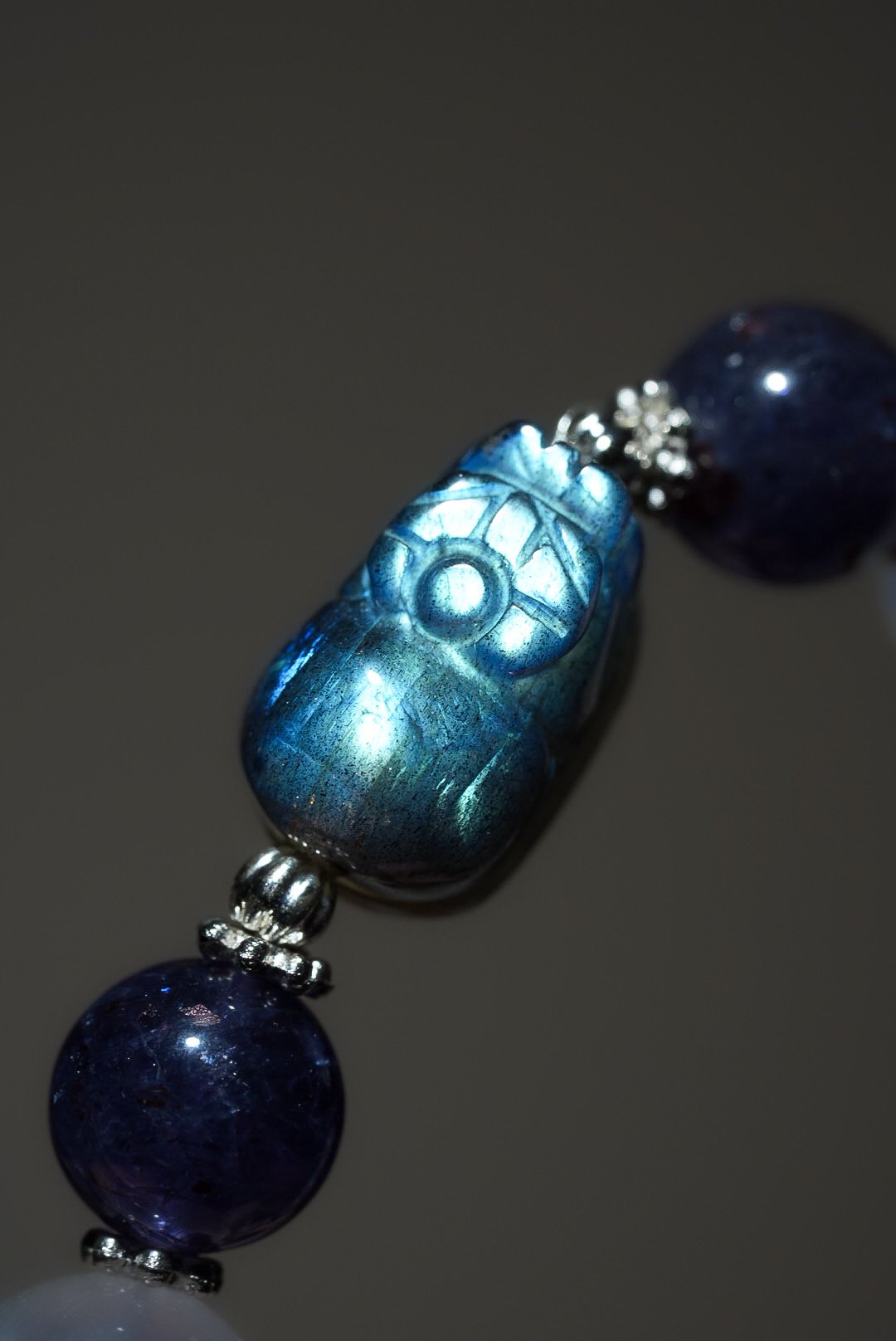 【直覺領航】鎖定目標，優雅顯化豐盛