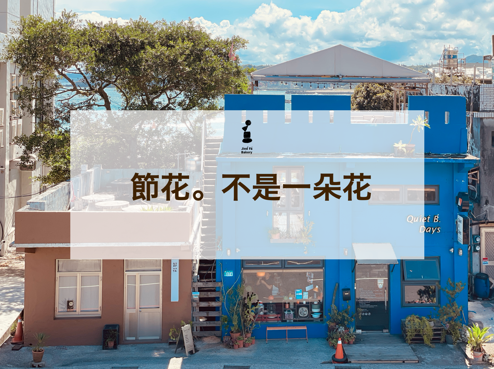 ｜節花不是一朵花｜