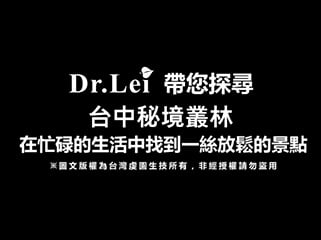Dr.Lei帶你闖入叢林秘境