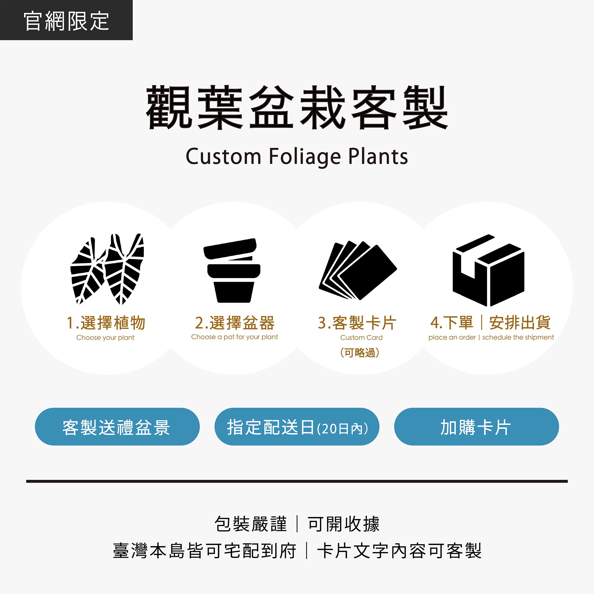觀葉盆栽客製｜Custom Foliage Plants