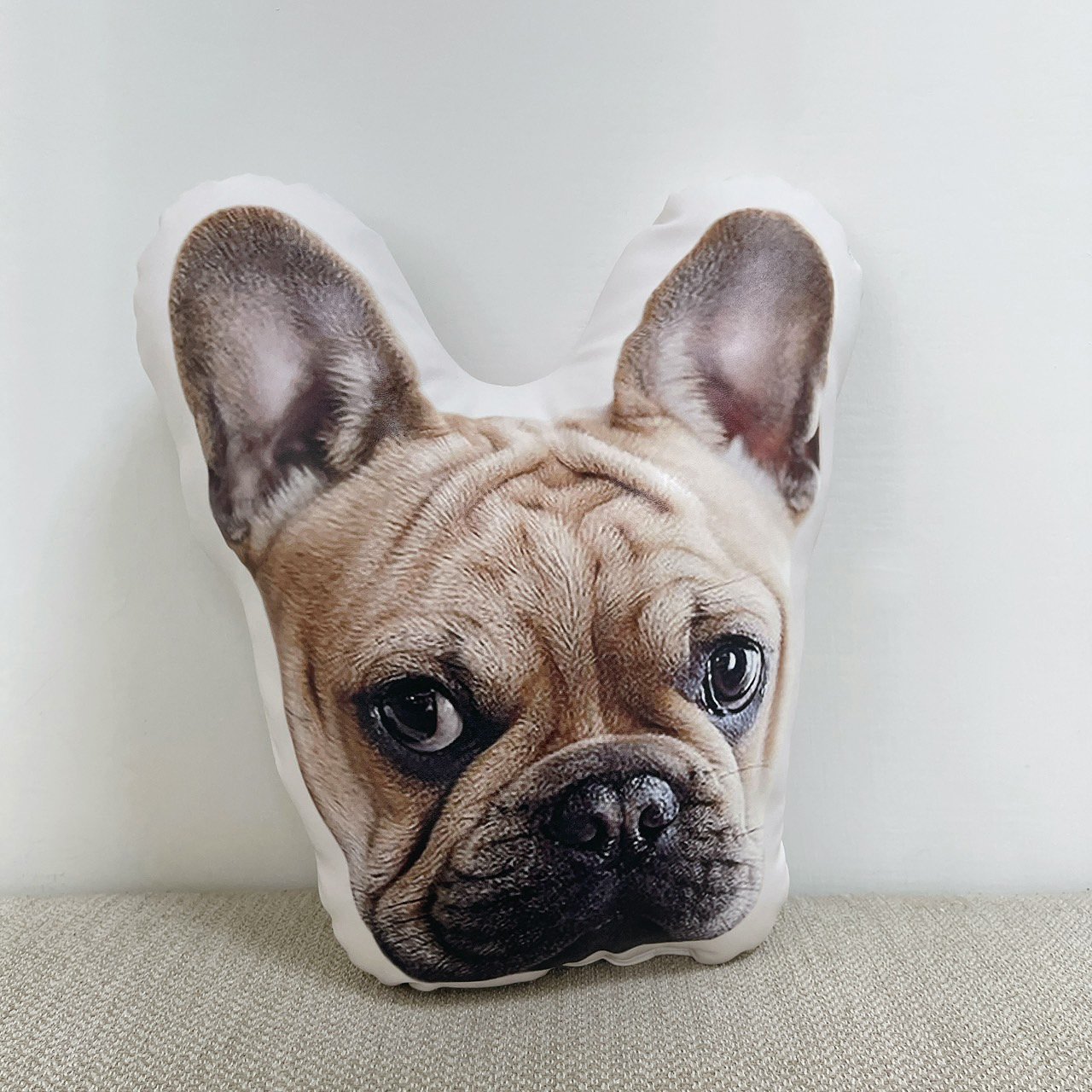 客製 ｜皮革寵物抱枕 (雙面印刷)