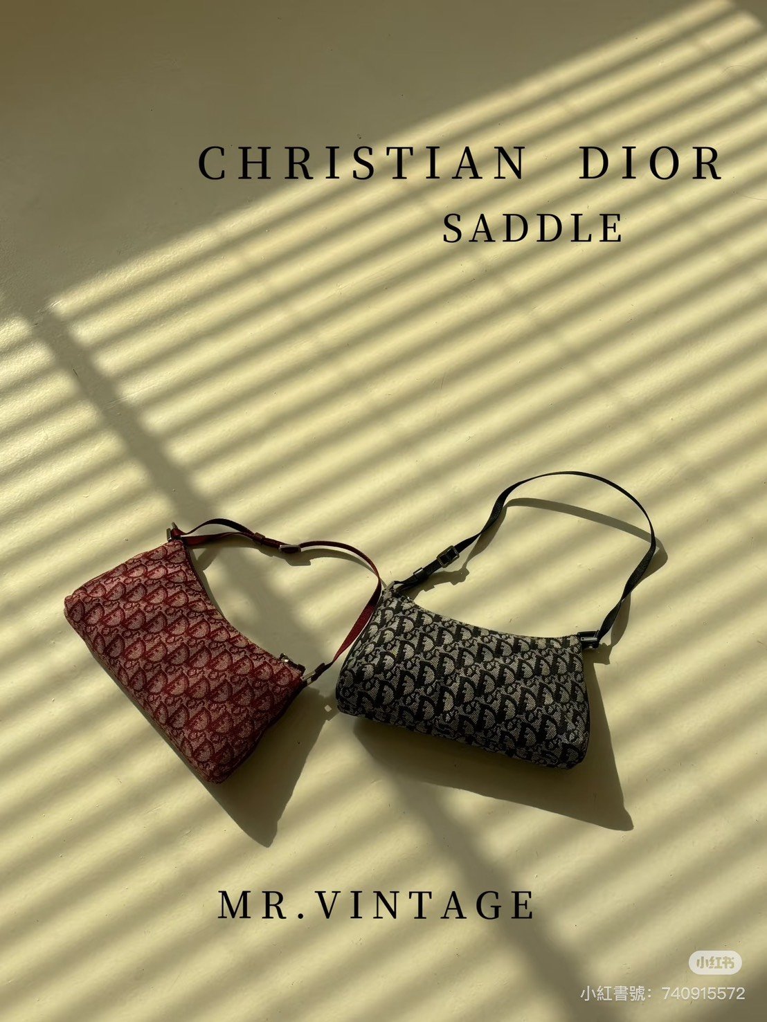 Dior saddle