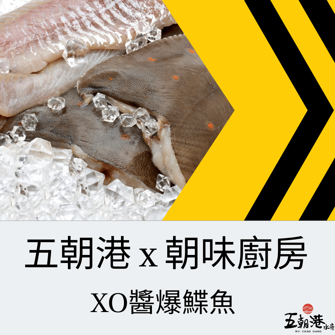 五朝港水產 x 朝味廚房 x XO醬爆鰈魚
