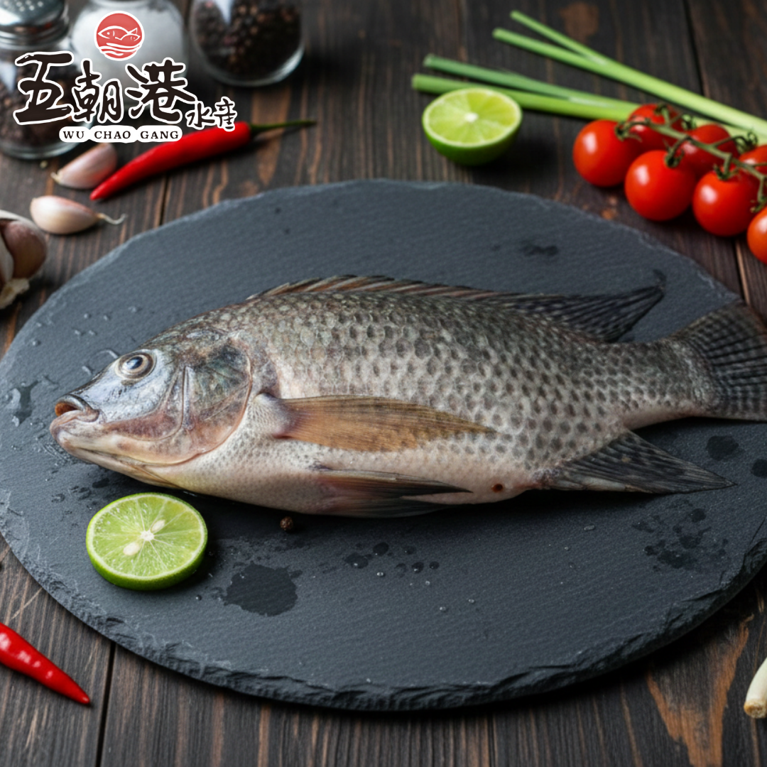【五朝港水產】台灣吳郭魚