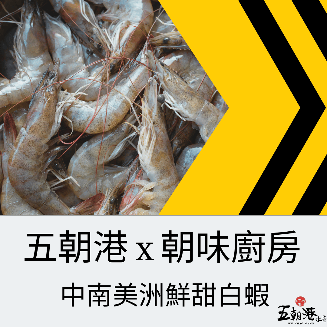 五朝港水產 x 朝味廚房 x 鮮甜白蝦