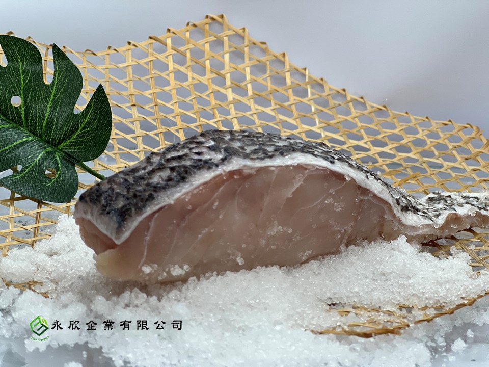 巴拉望野生石斑