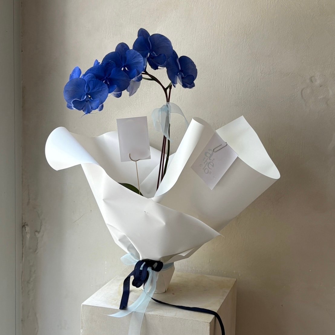 染色蘭花花束-靛藍