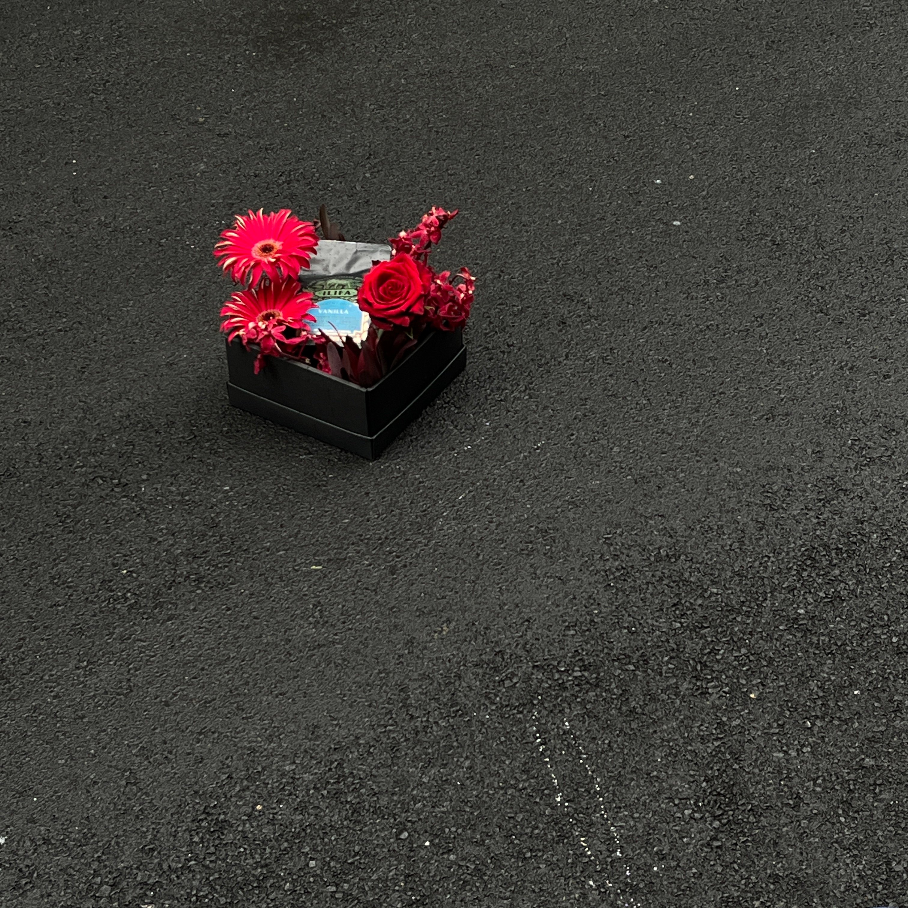 此刻 x ILIFA 非洲醇香咖啡豆花禮