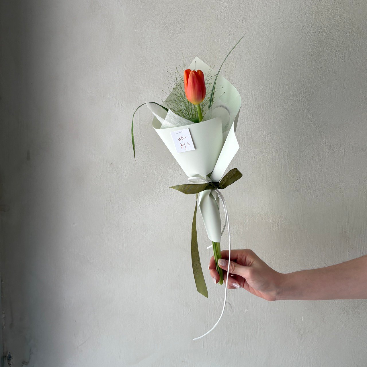Orange Single Tulip