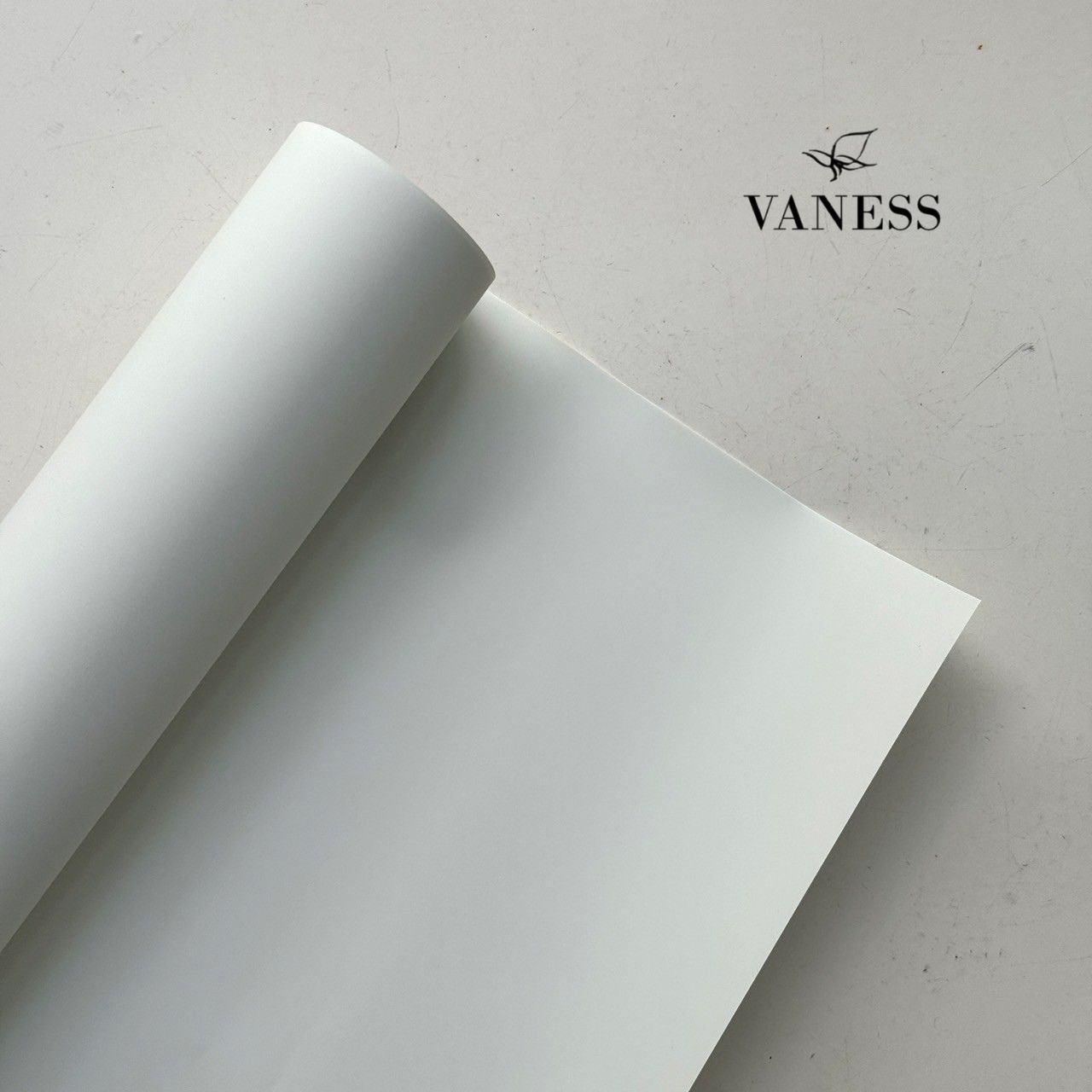 韓國 VANESS FLOWER 包裝紙 V27 Pale green