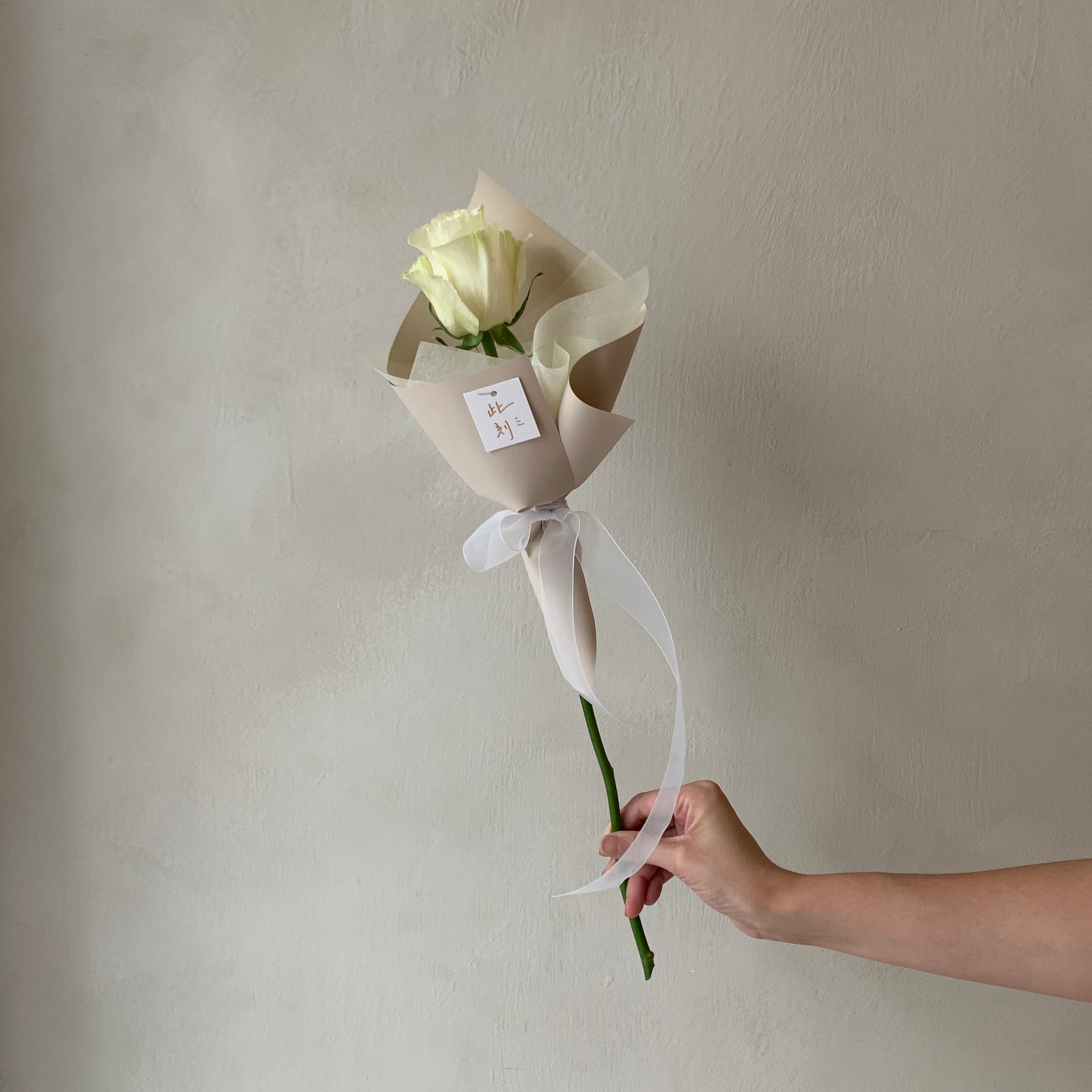單支白玫瑰花束