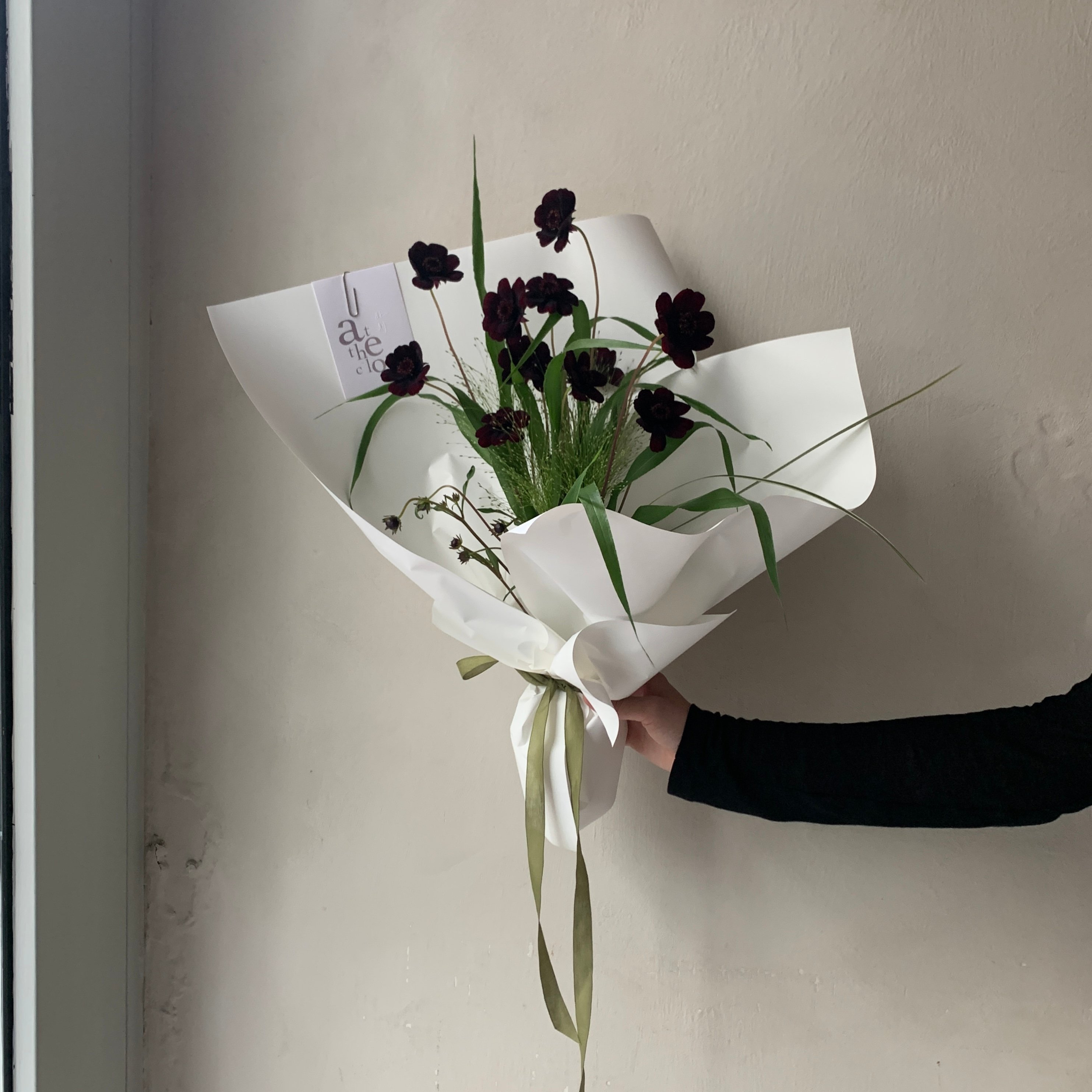 巧克力波斯菊花束