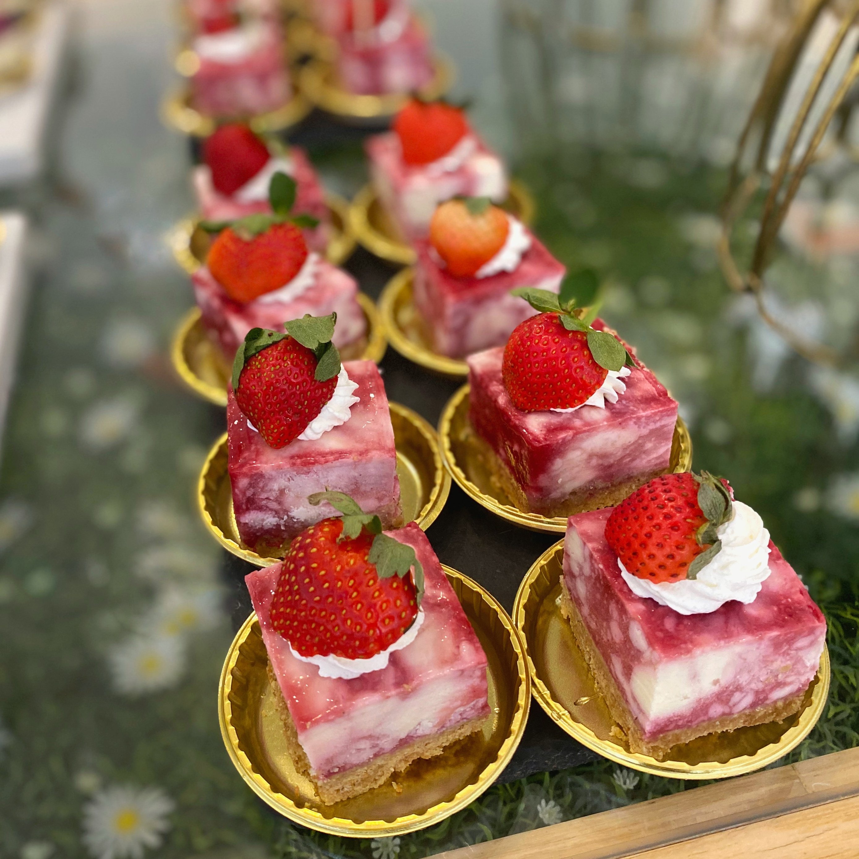 覆盆子生乳酪(16個)