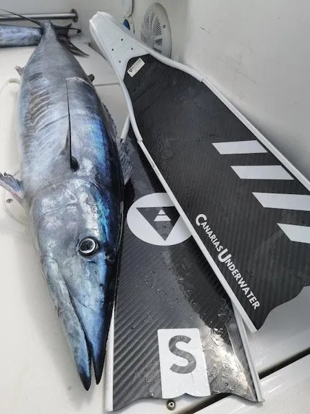 Alchemy S-30 碳纖維長蛙 專業自由潛水