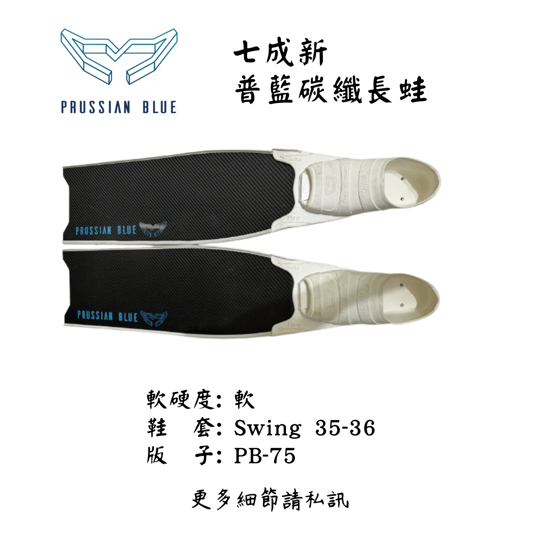 | 裝備寄賣 |普魯士藍 二手碳纖維蛙鞋  (線上)