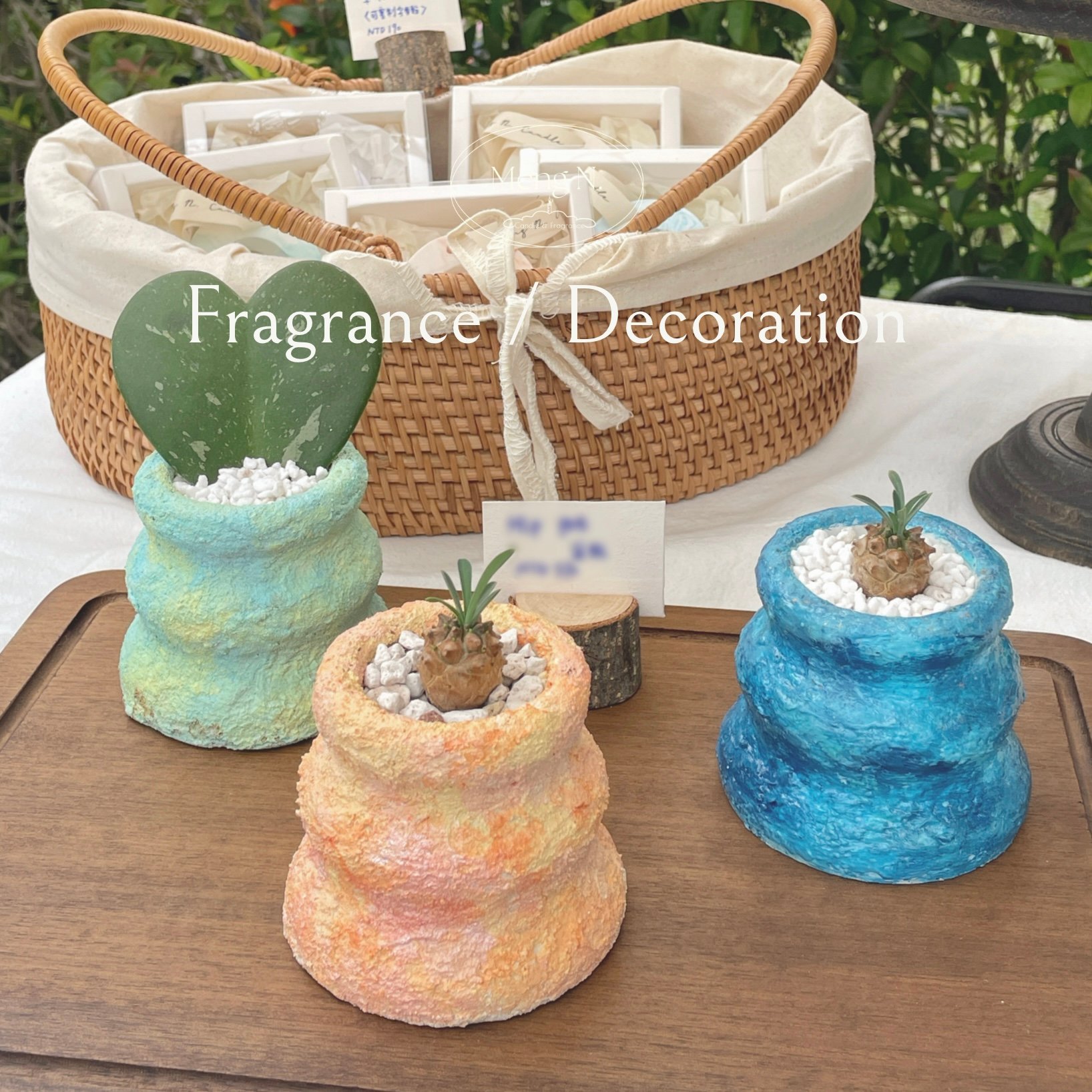 Hip Pot盆栽色彩設計