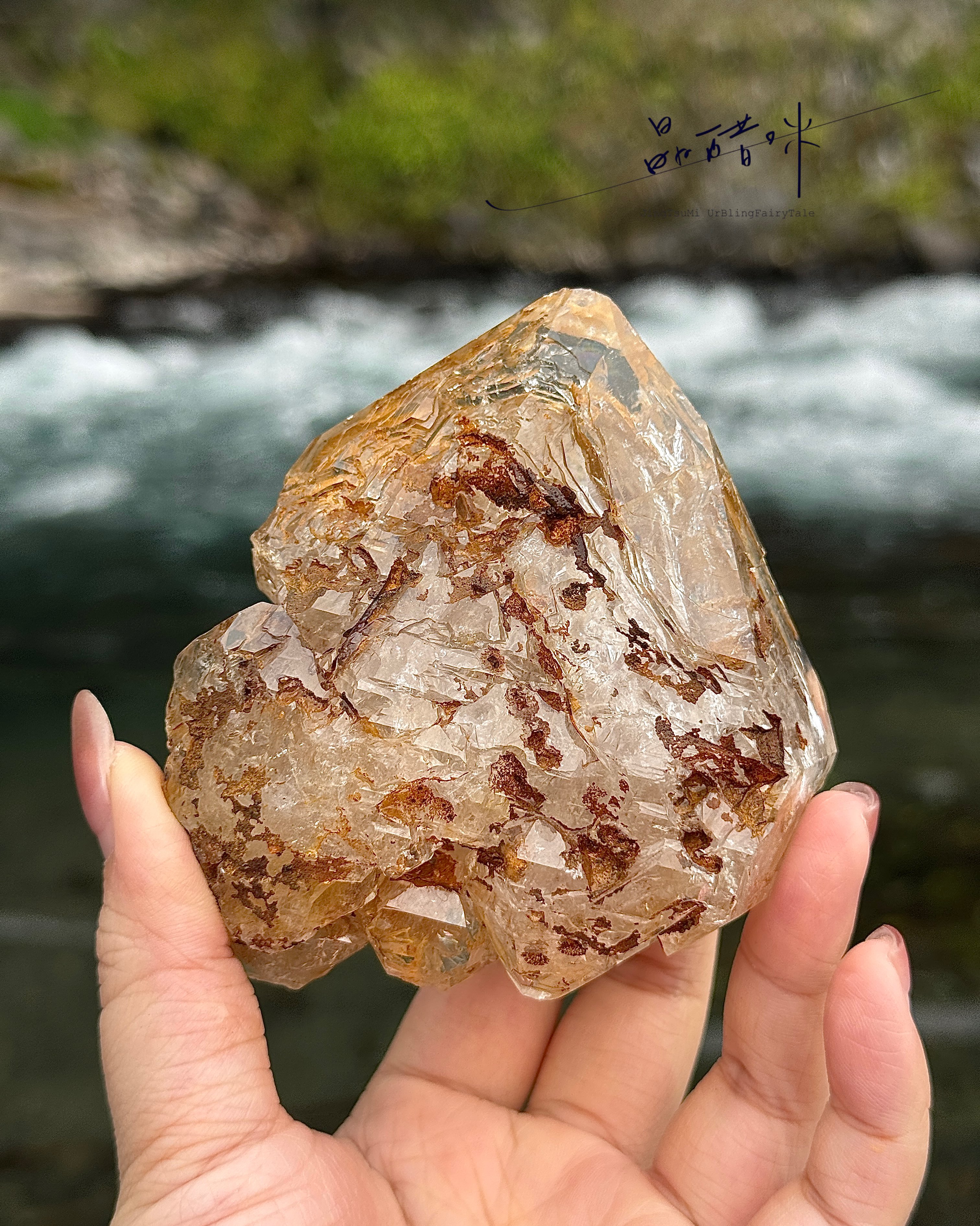 巴基斯坦黃泥骸骨《JCO006》