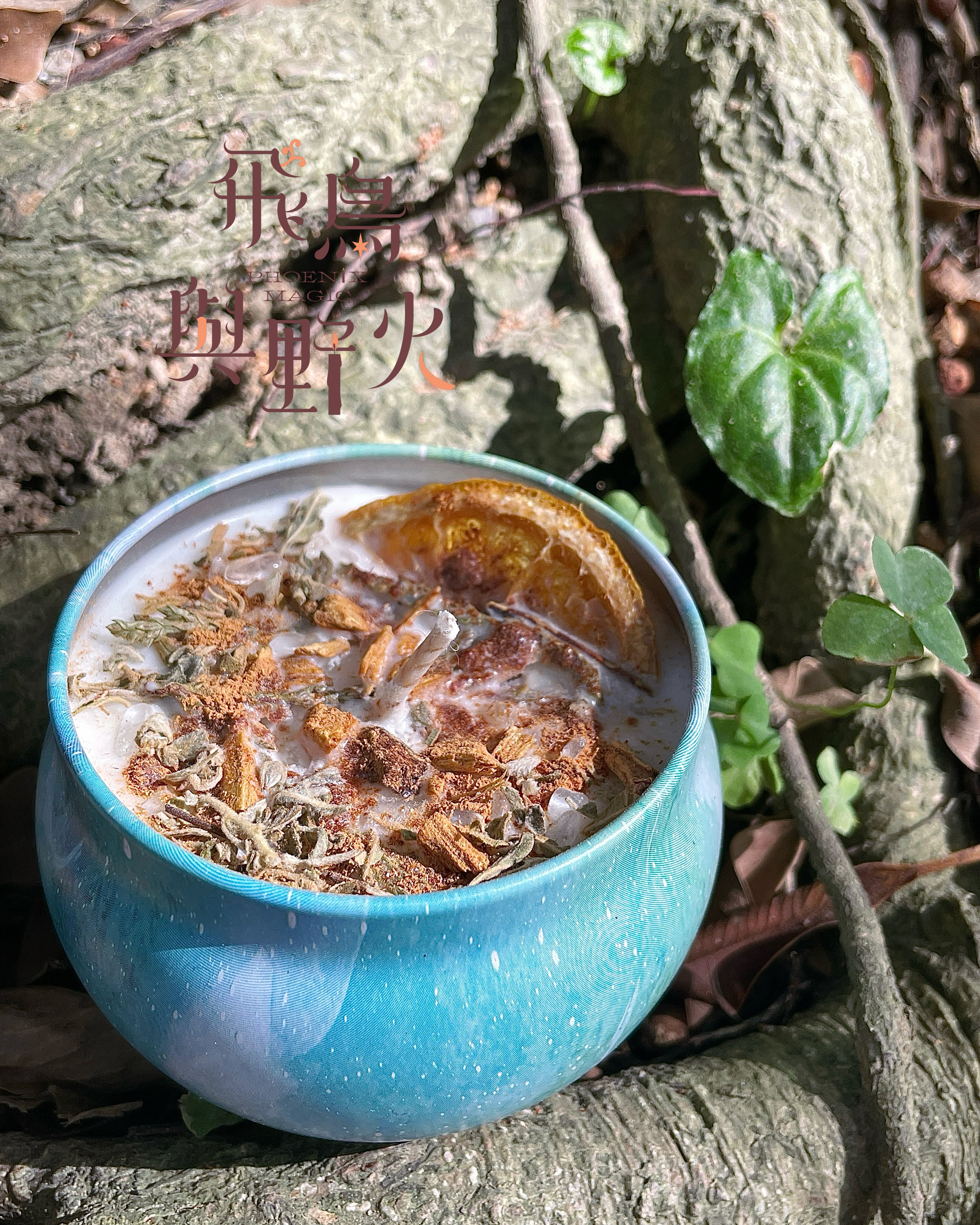 台灣植系列肖楠_鬱離