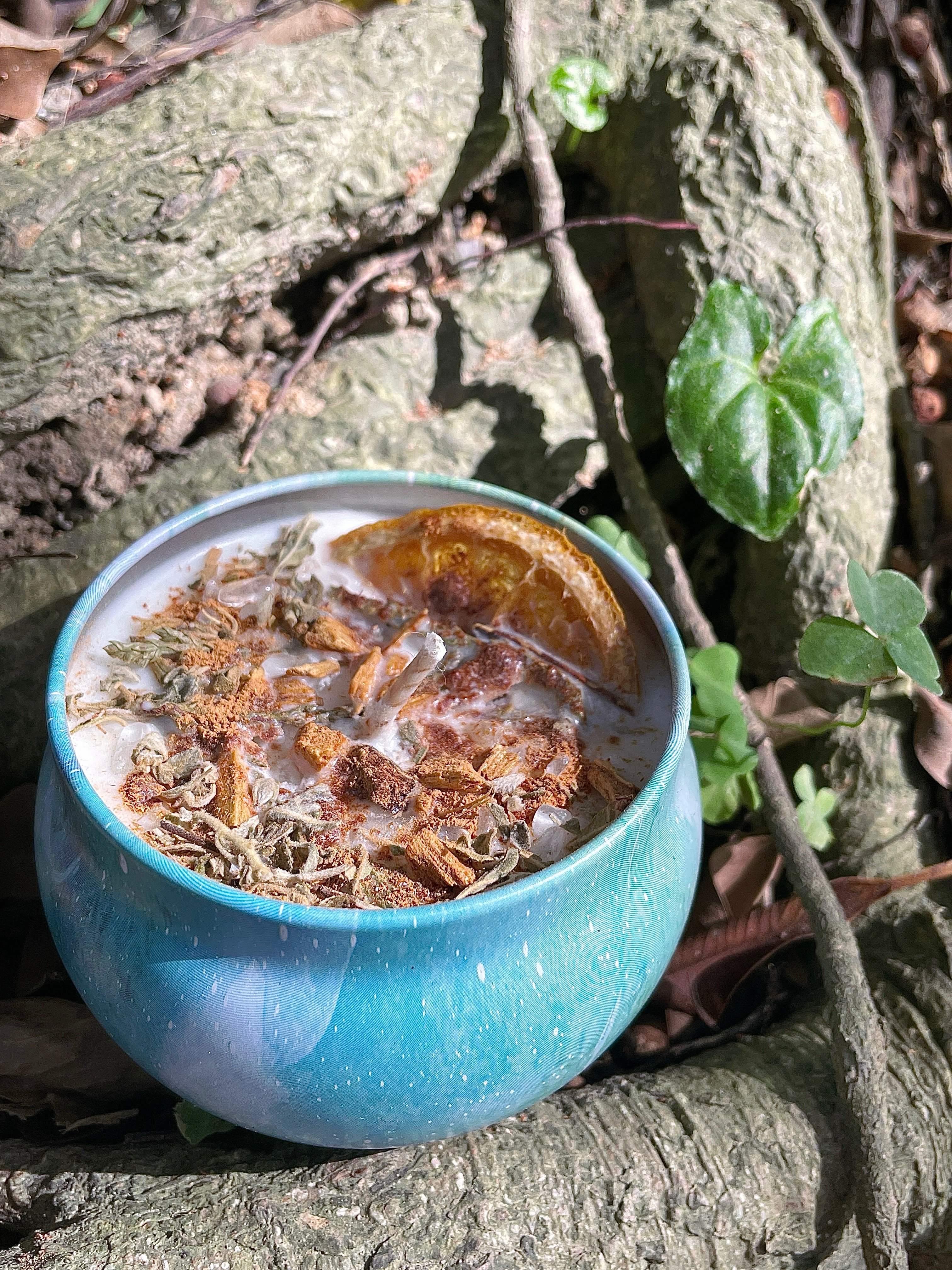 Anxiety Away 鬱離｜台灣植系列-肖楠