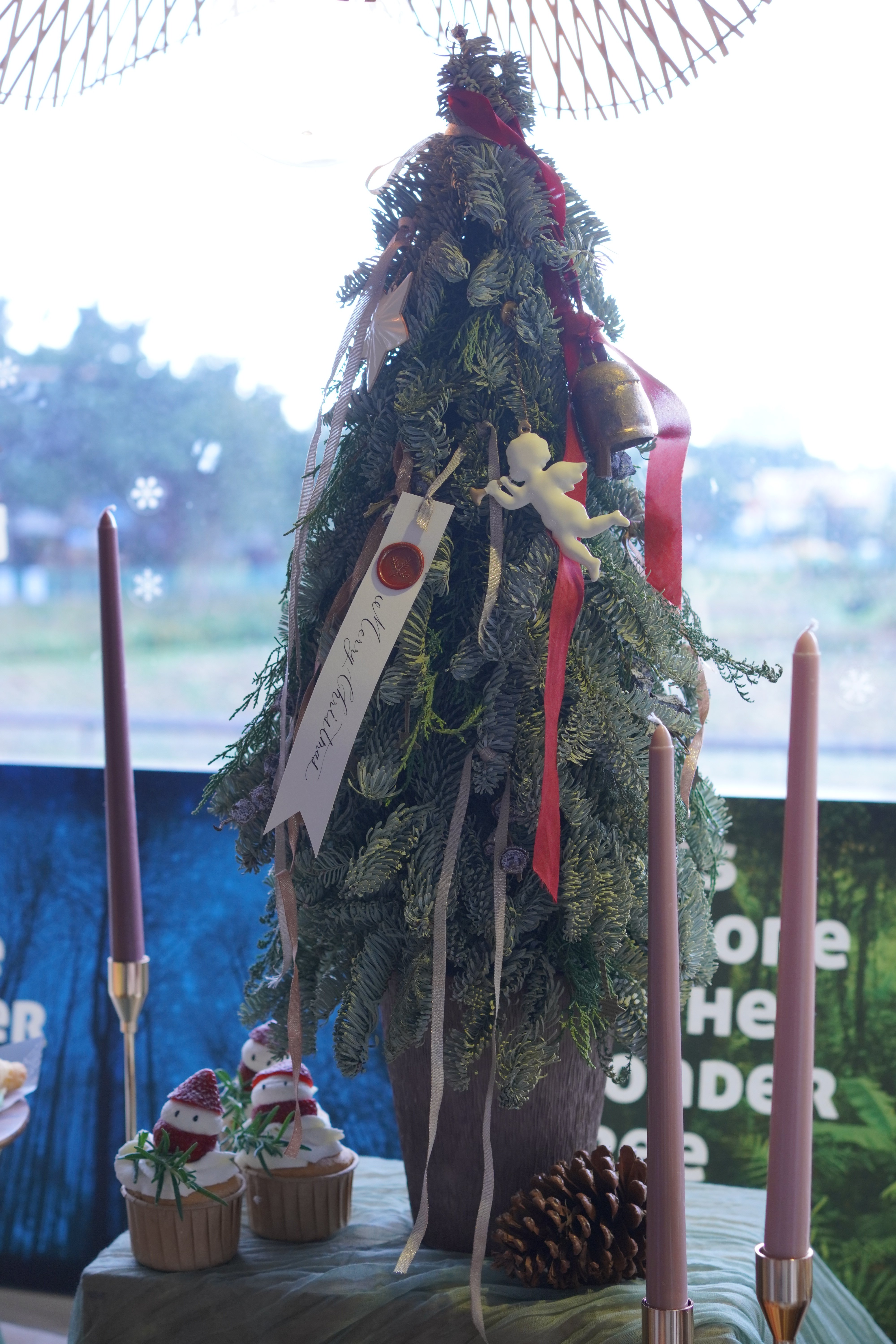 聖誕樹其實來自德國？