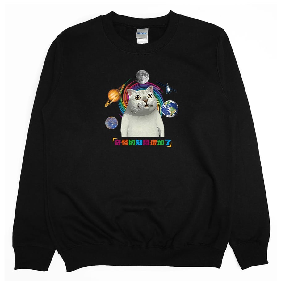 奇怪的知識增加了(大學T)Hamburger T-Shirt Shop