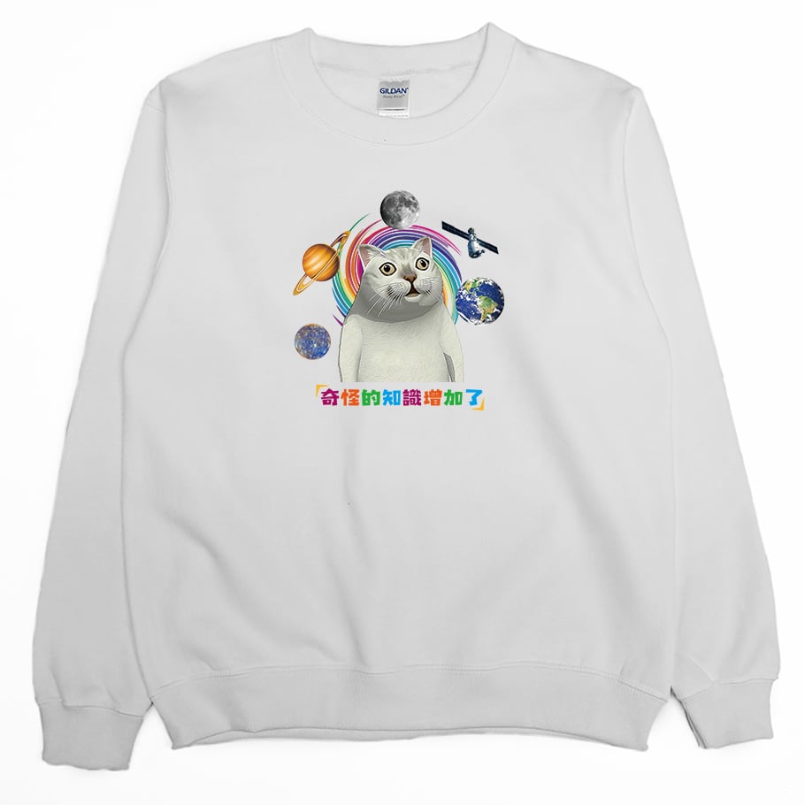 奇怪的知識增加了(大學T)Hamburger T-Shirt Shop