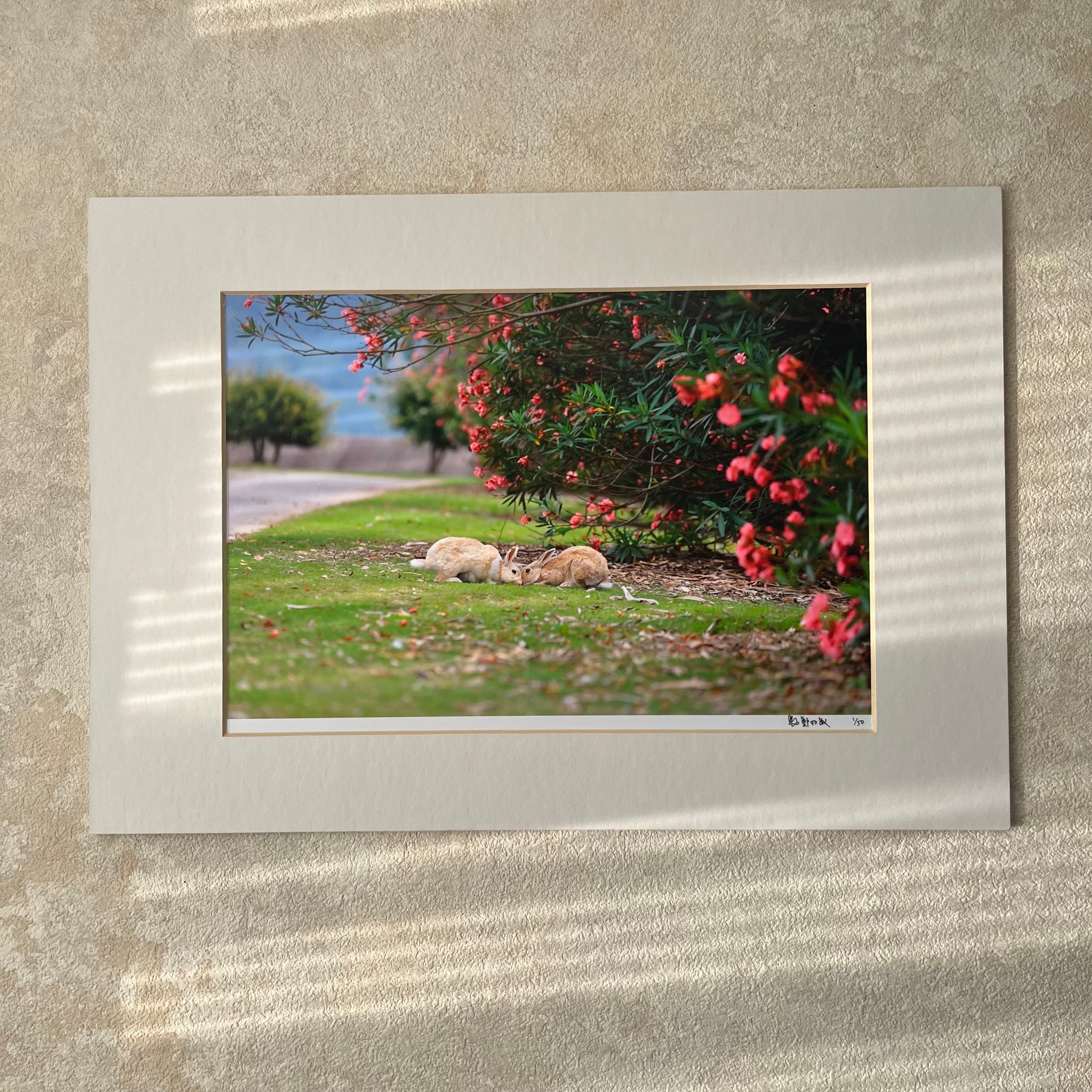 攝影藝術微噴原作 - 《邂逅》1/50