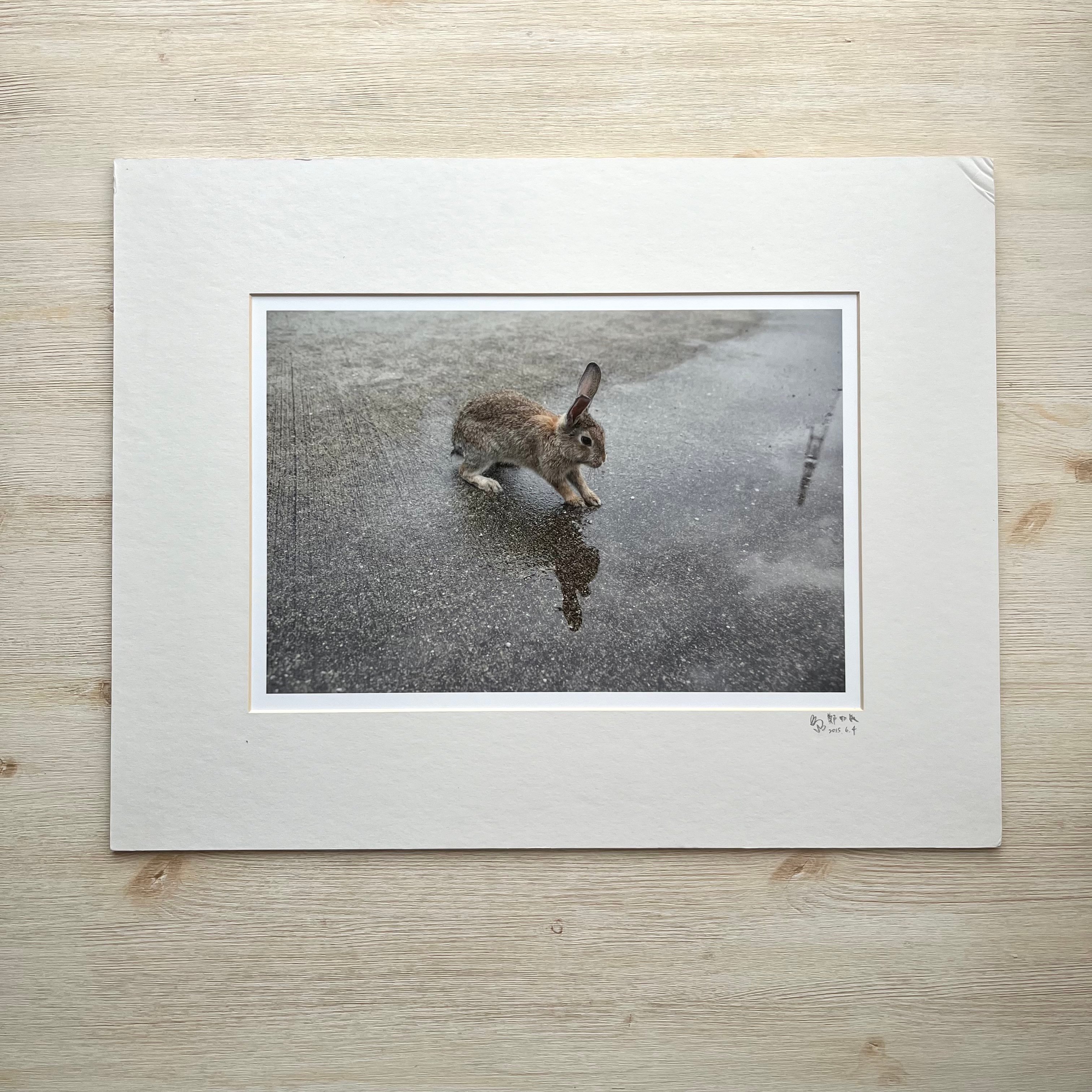 攝影藝術微噴福利品 - 03