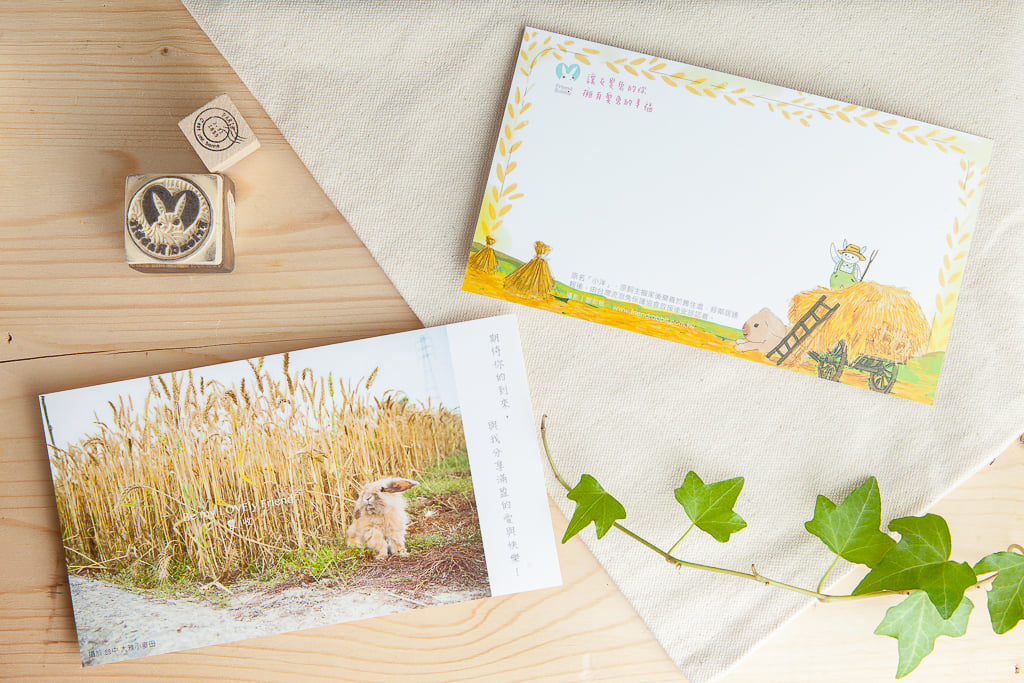兔子攝影插畫明信片 - 《豐收》