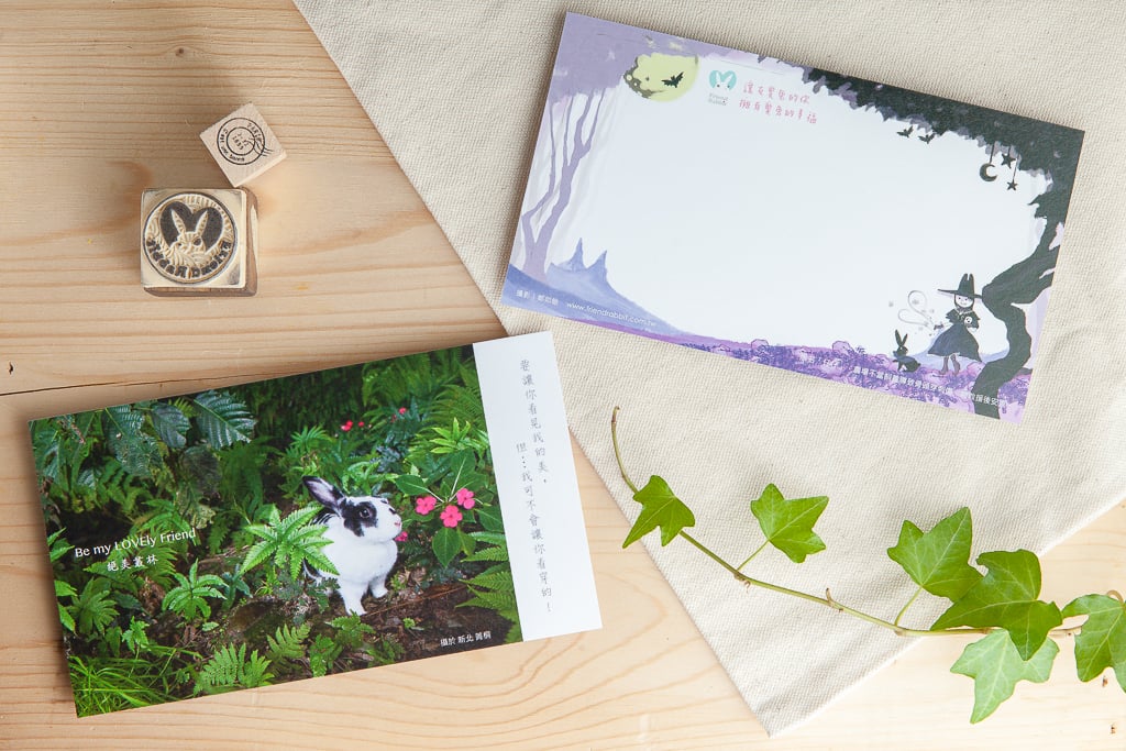 兔子攝影插畫明信片 - 《絕美叢林》