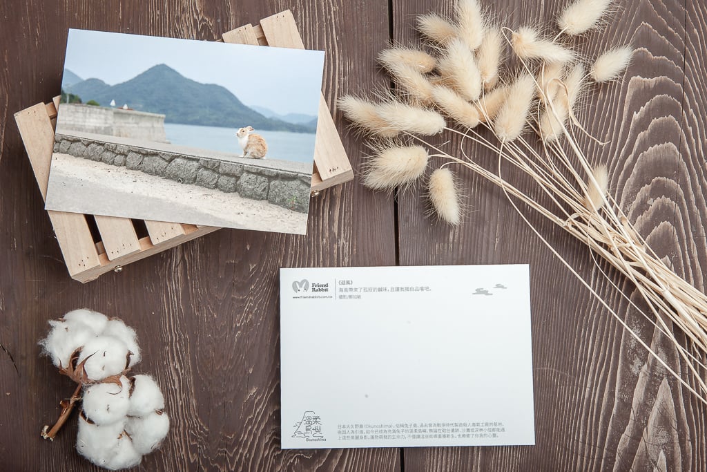 兔子攝影明信片- 《迎風》