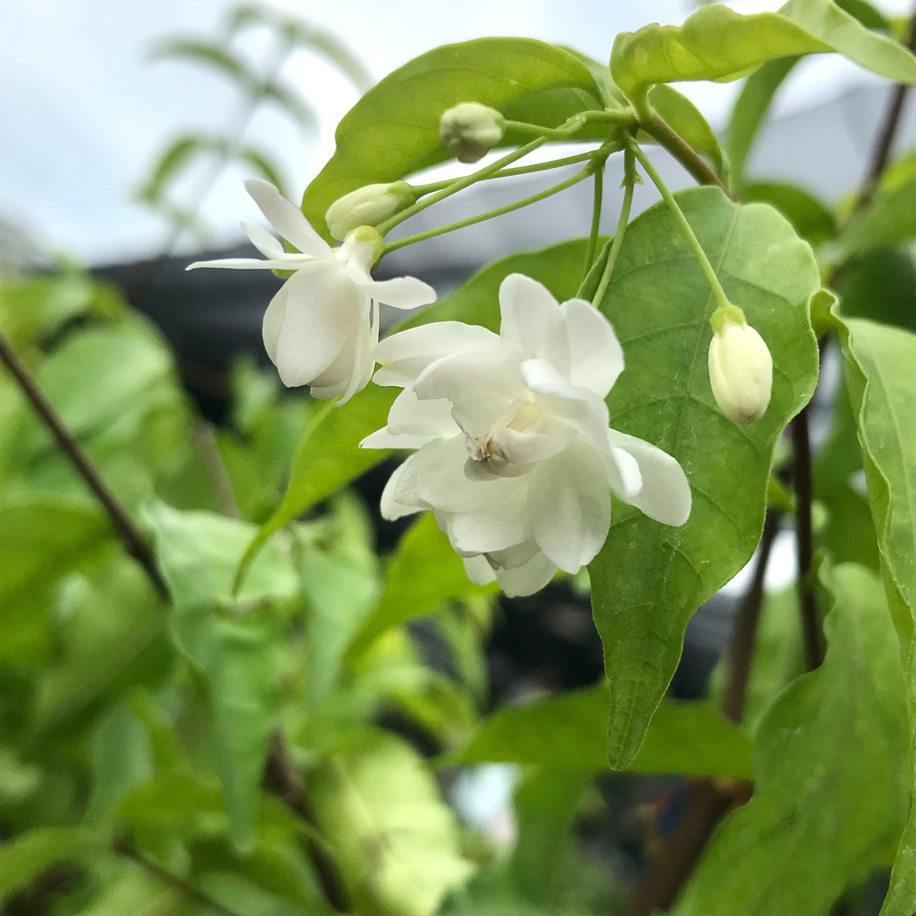 新上架 ❙  攝影藝術