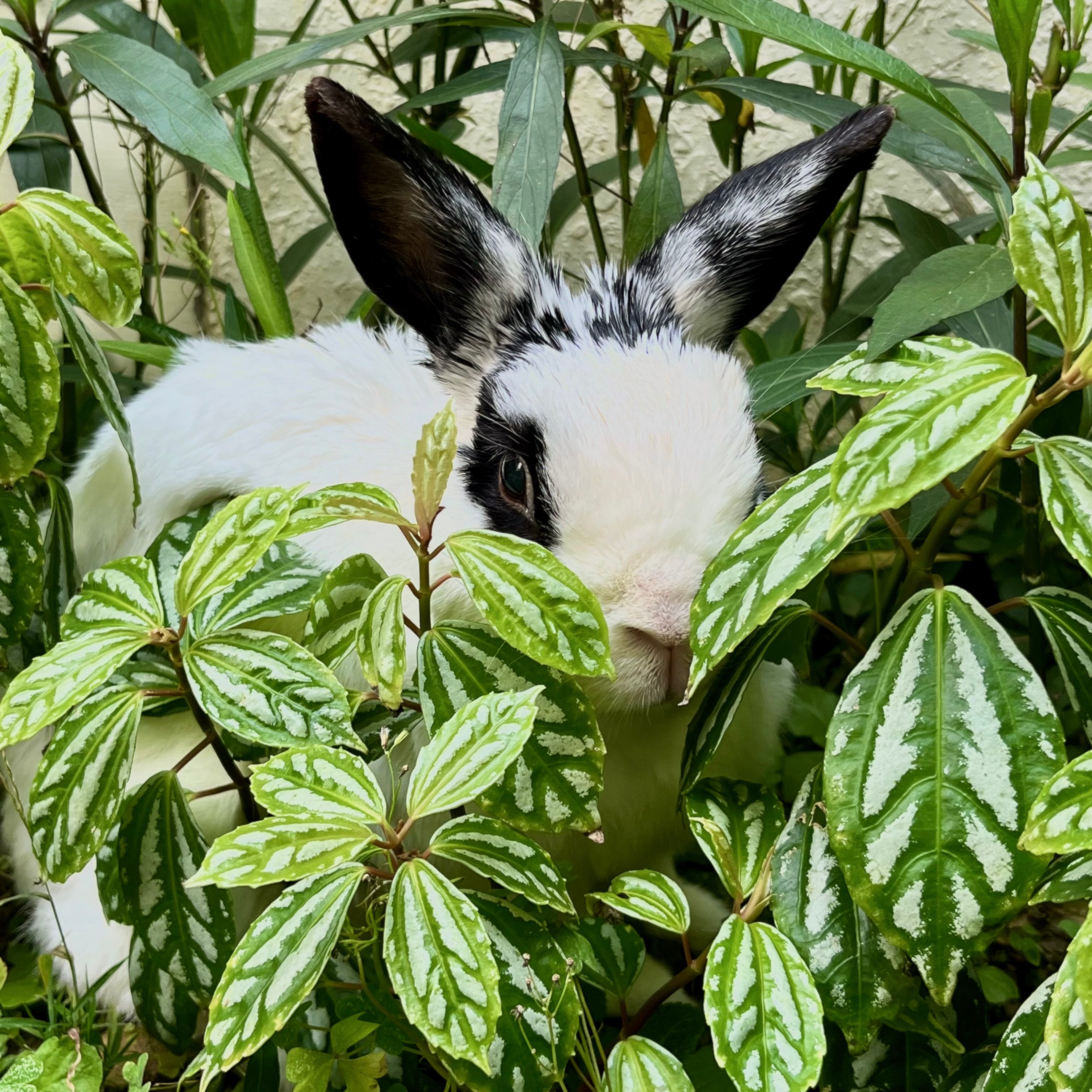 品牌主網新上線