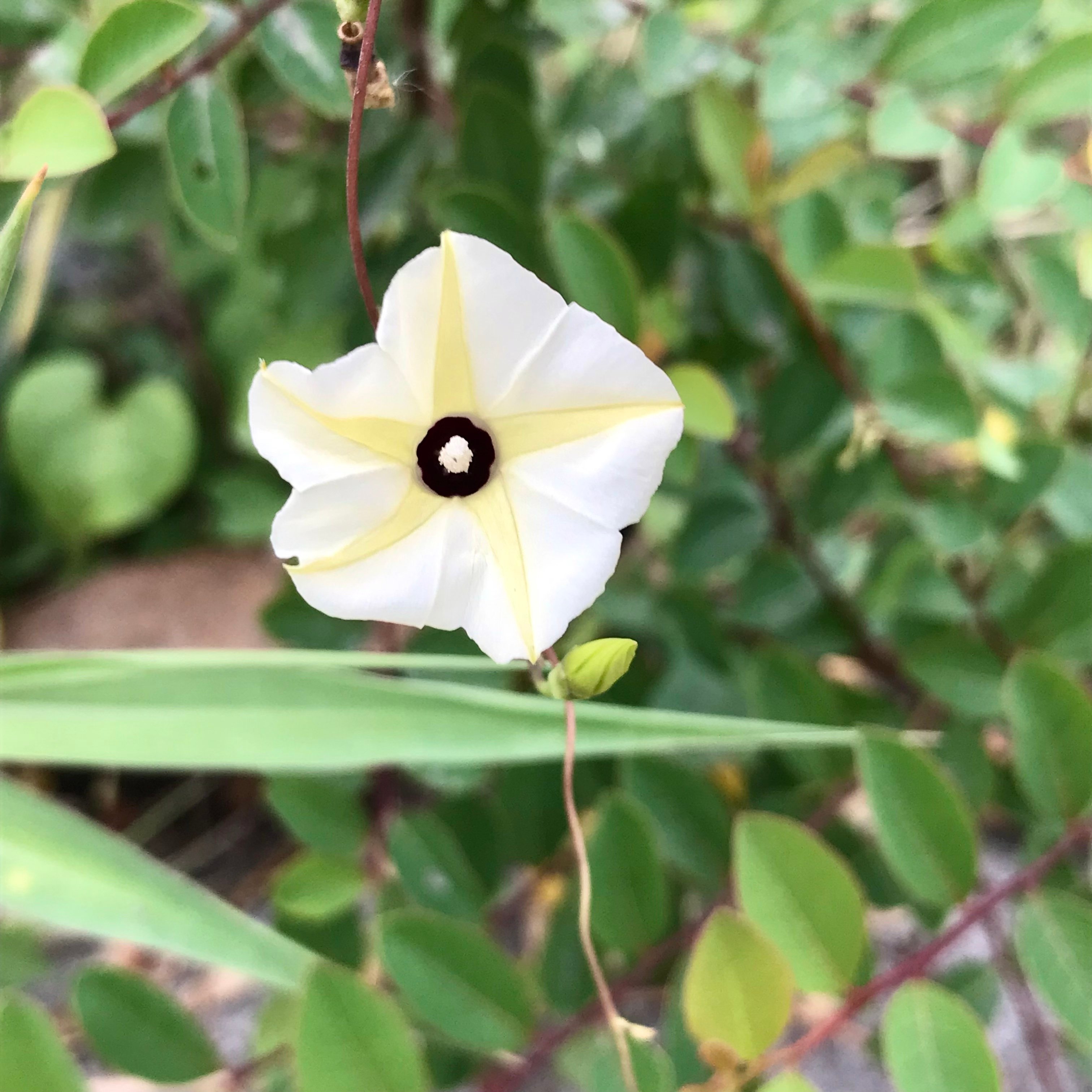 新上架 ❙  書籍