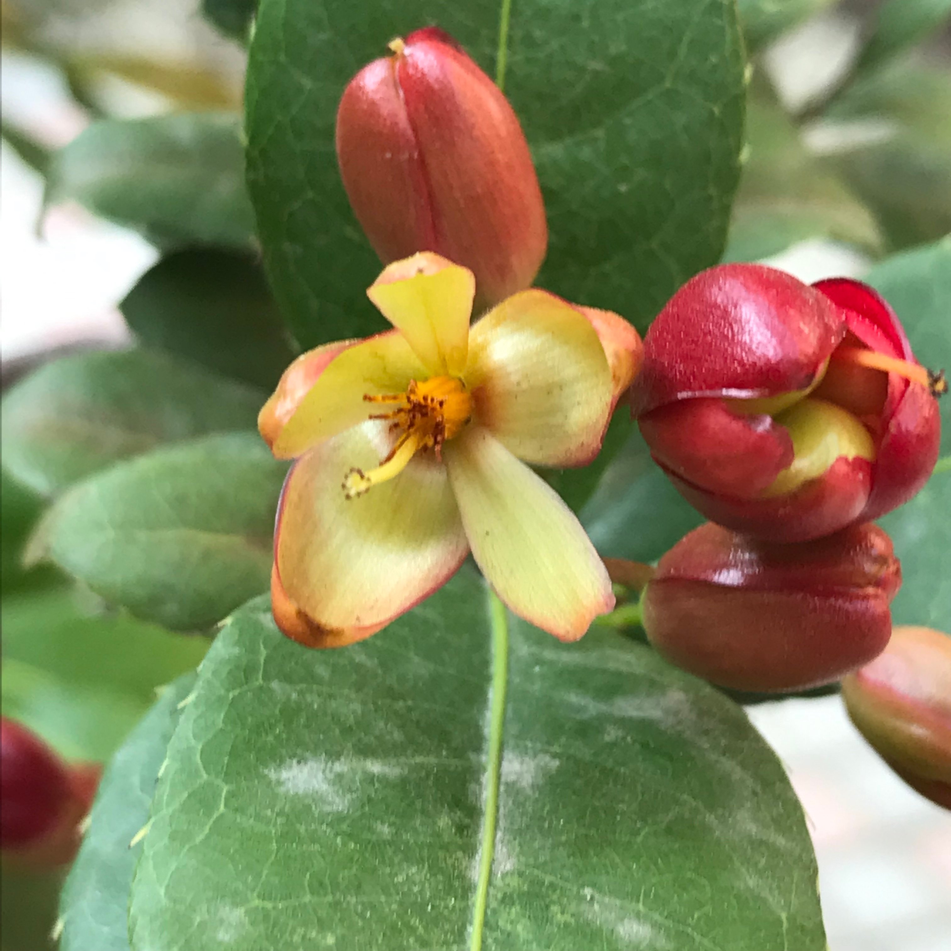 新上架 ❙  書籍