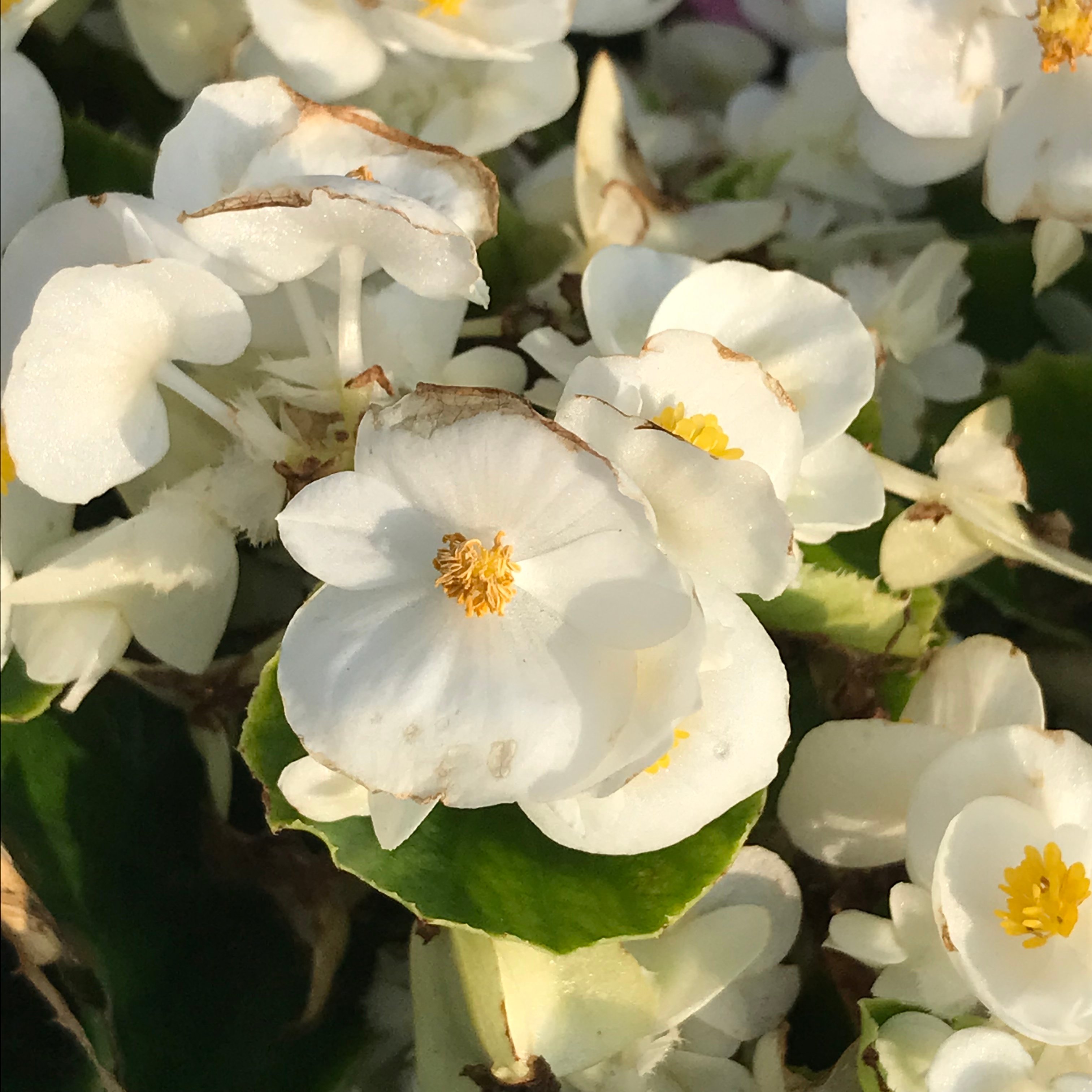 新上架 ❙  書籍