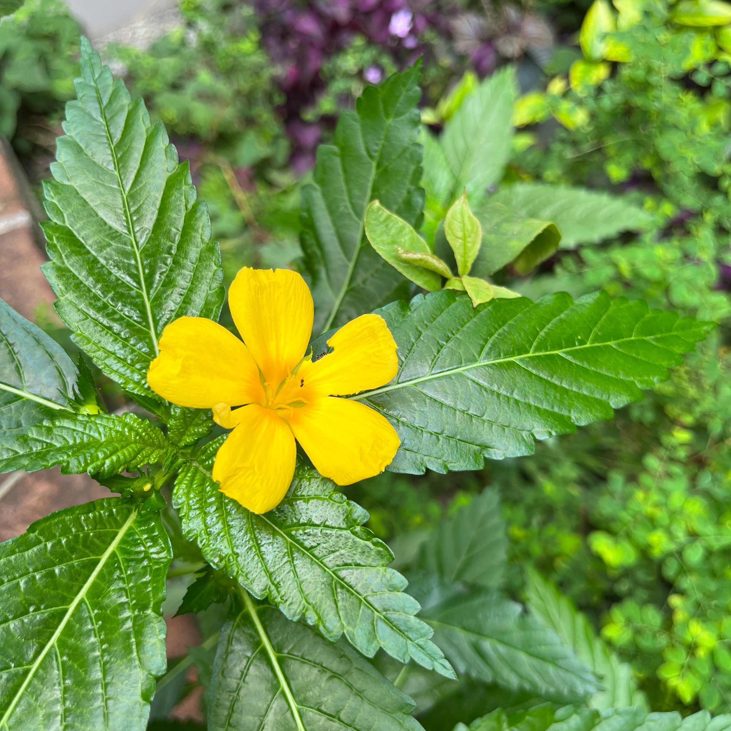 新上架 ❙ 二手書