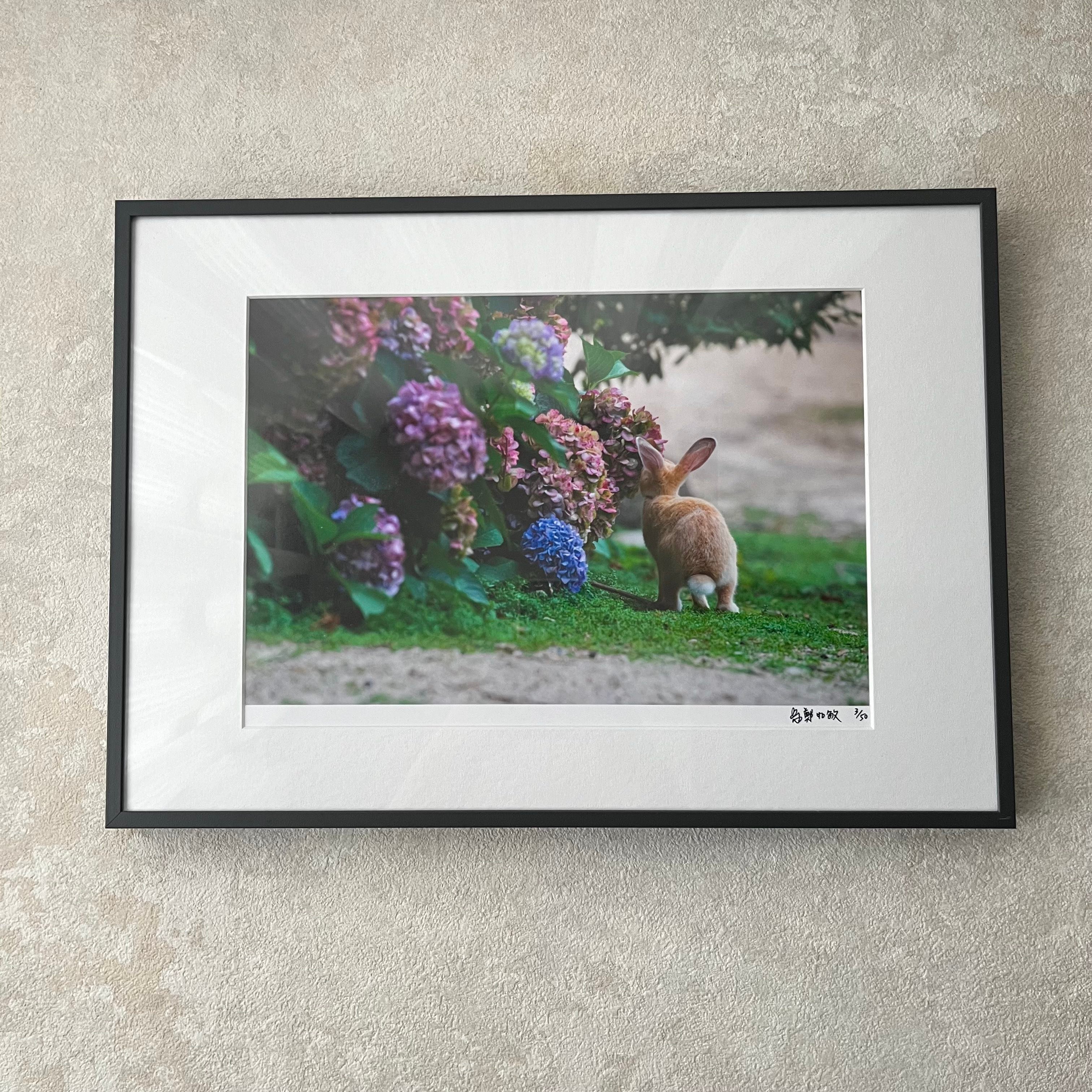 攝影藝術微噴原作 - 《試探》 3/50｜深灰鋁框