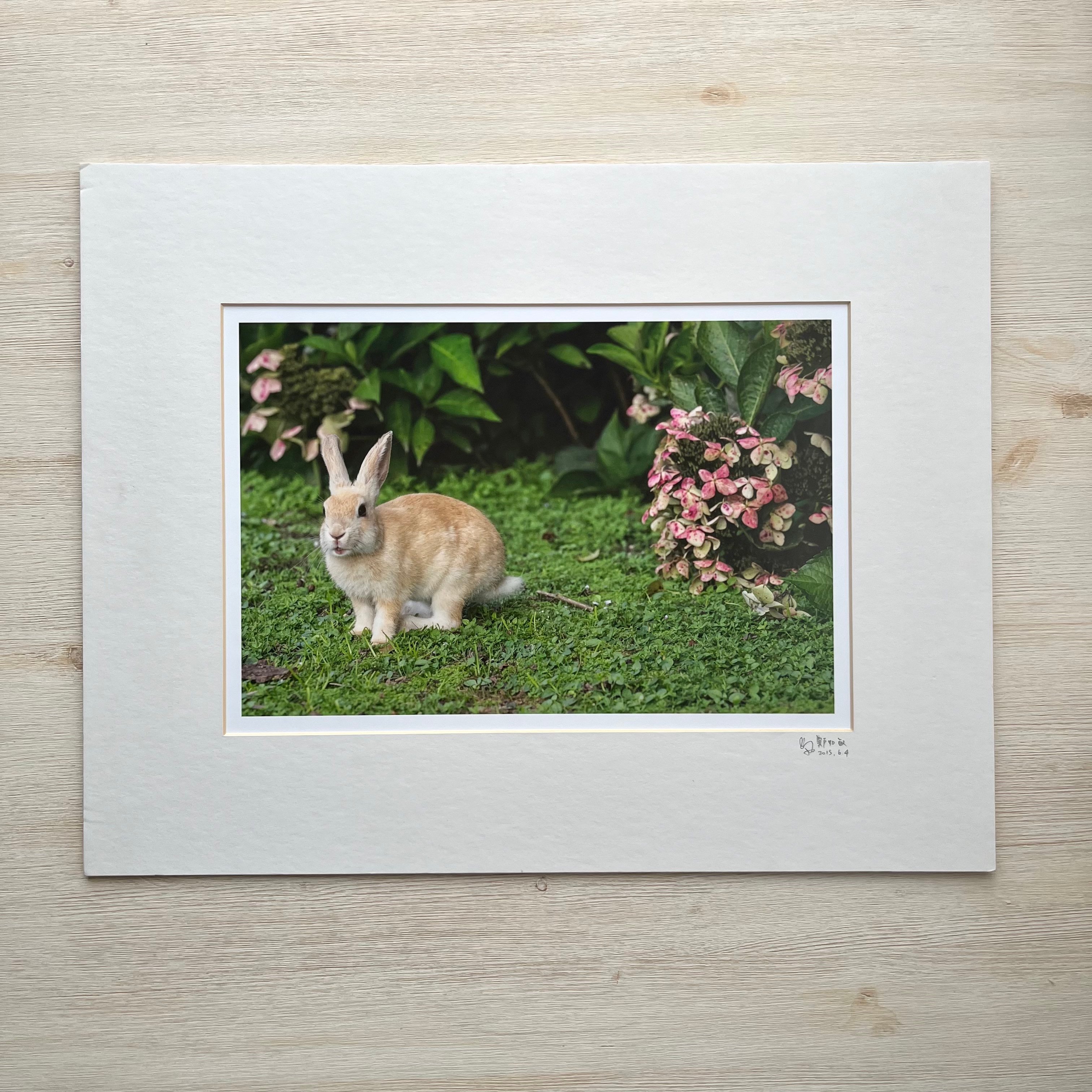 攝影藝術微噴福利品 - 08