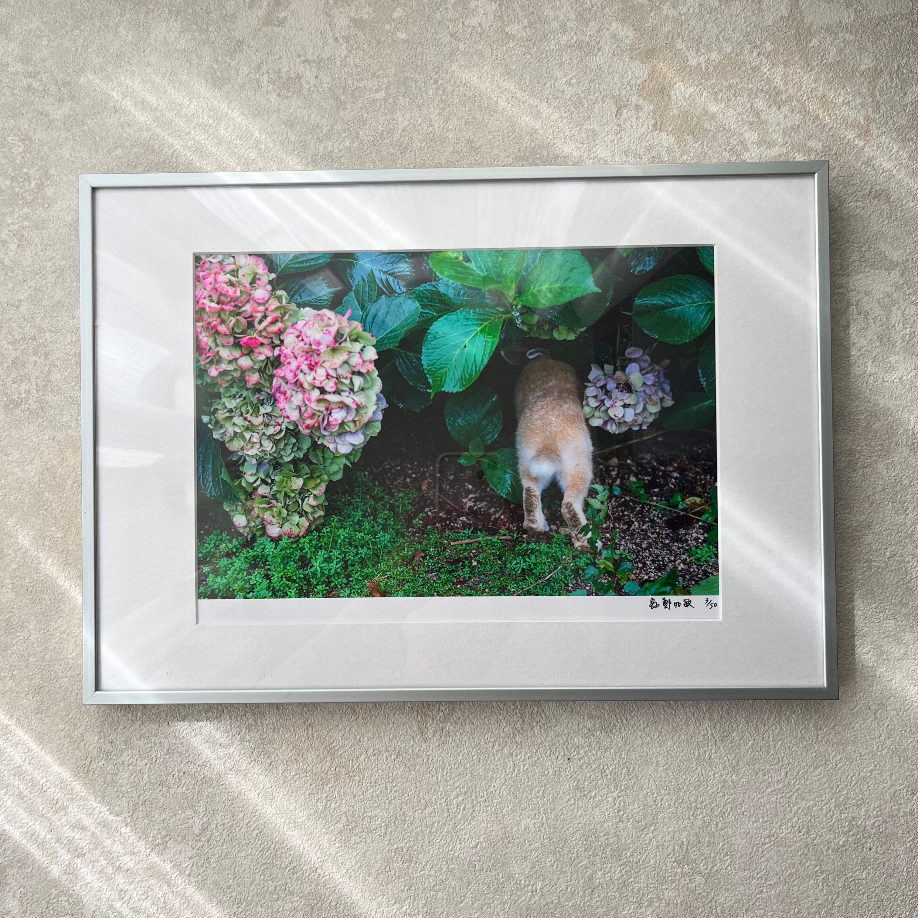 攝影藝術微噴原作 - 《探索》 3/50｜霧銀鋁框